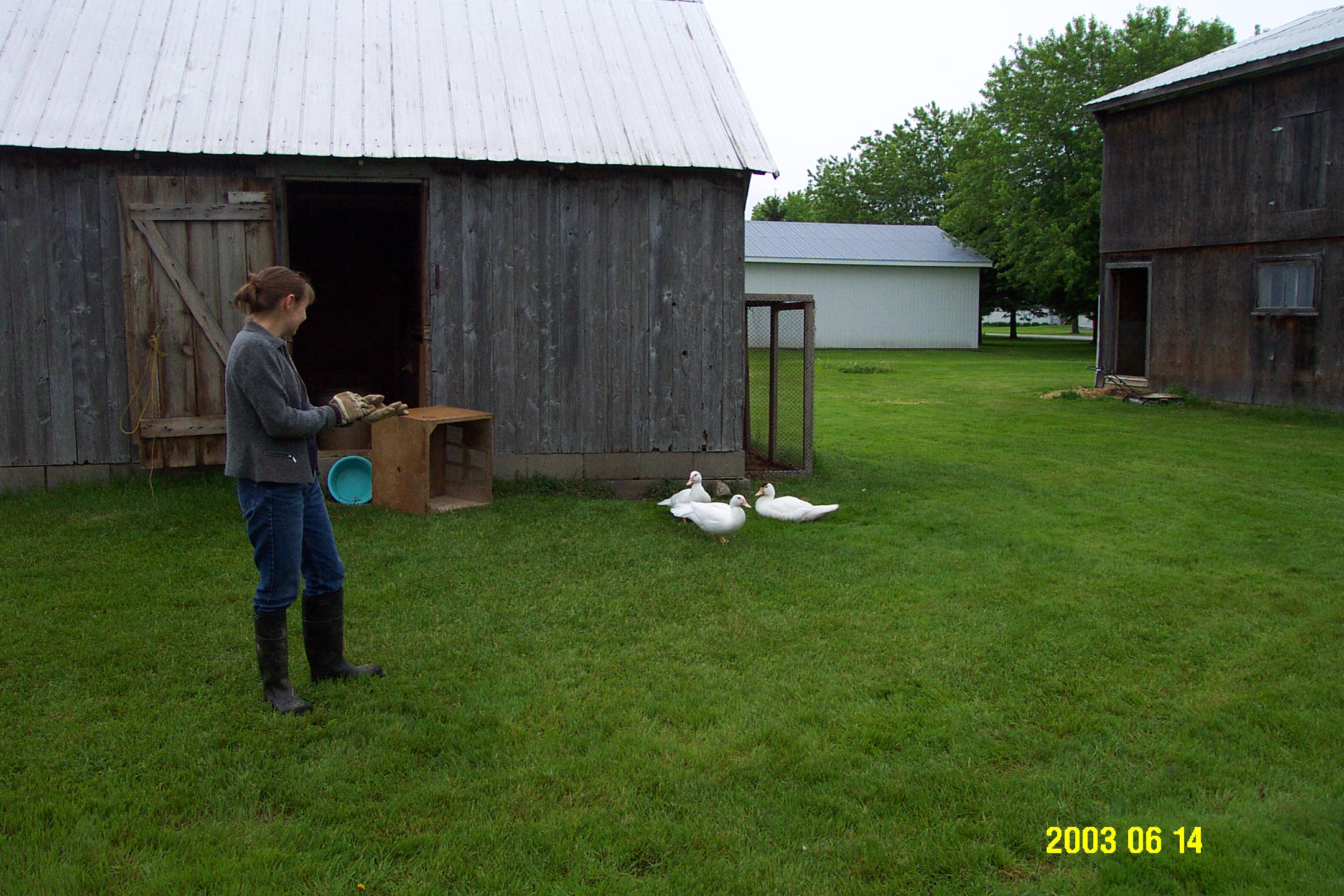 20030614-173254-Unknown-2003