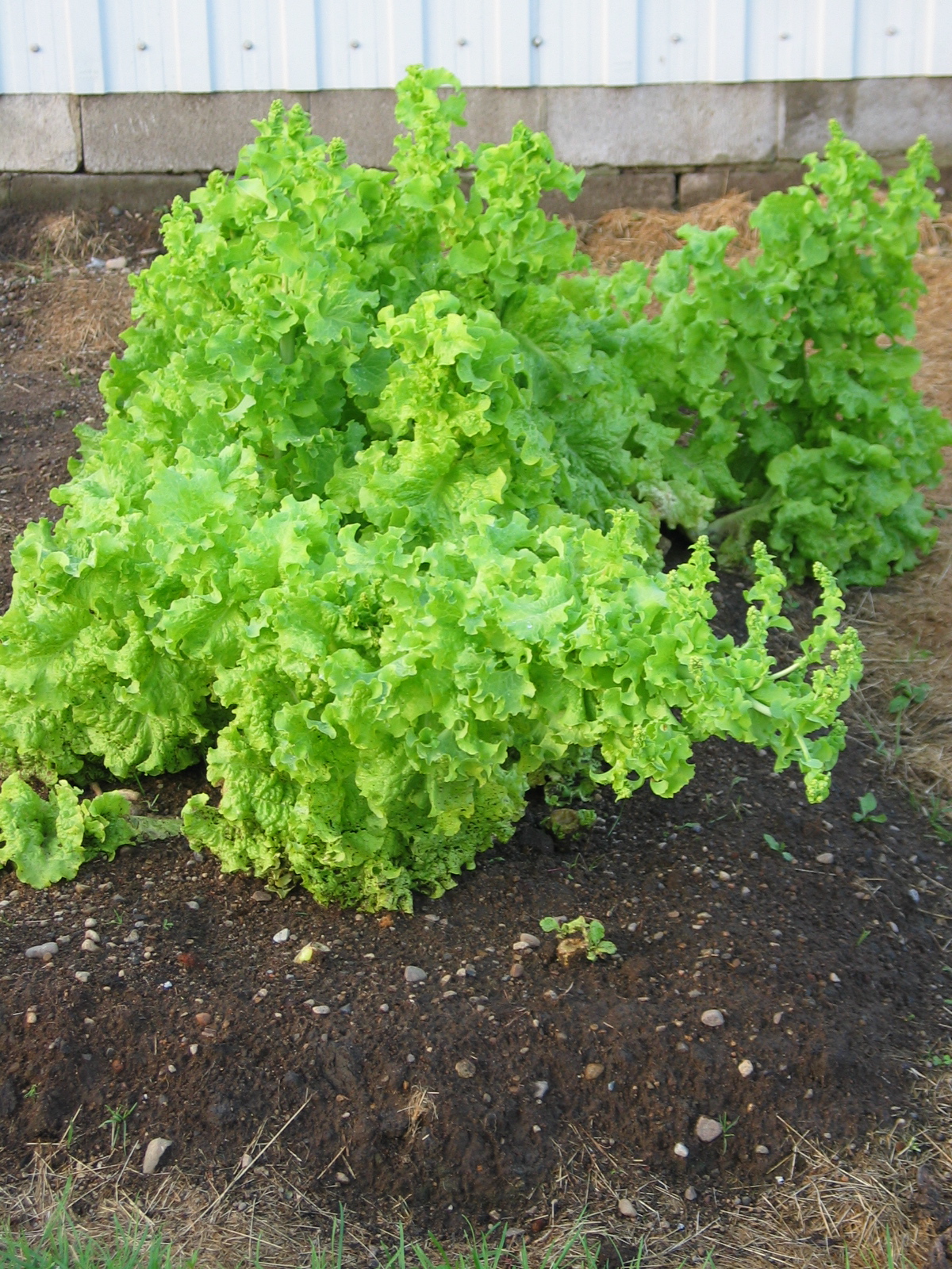 20040717-190152-Unknown-2004