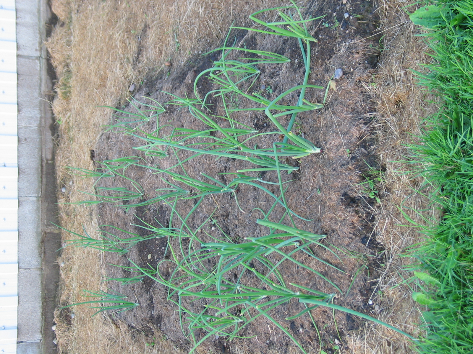 20040717-190205-Unknown-2004