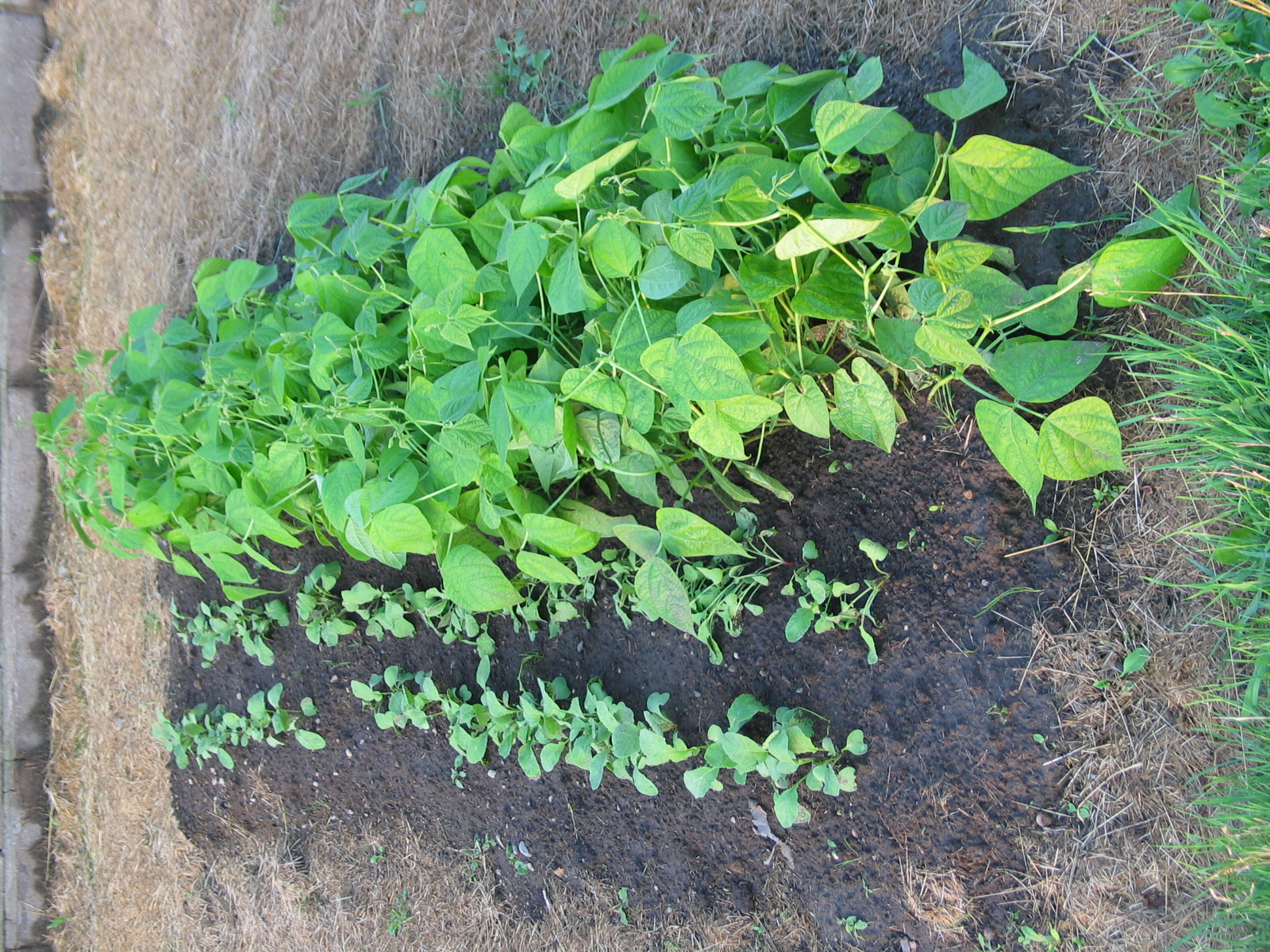 20040717-190227-Unknown-2004