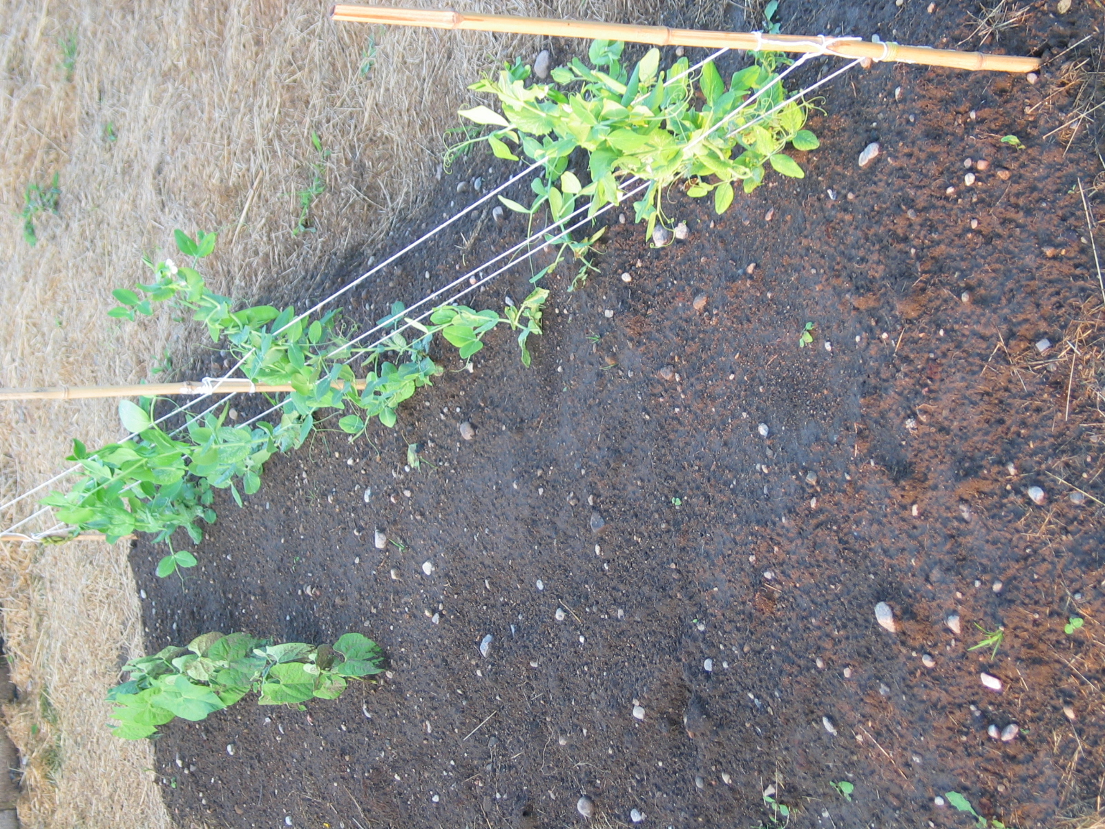 20040717-190241-Unknown-2004