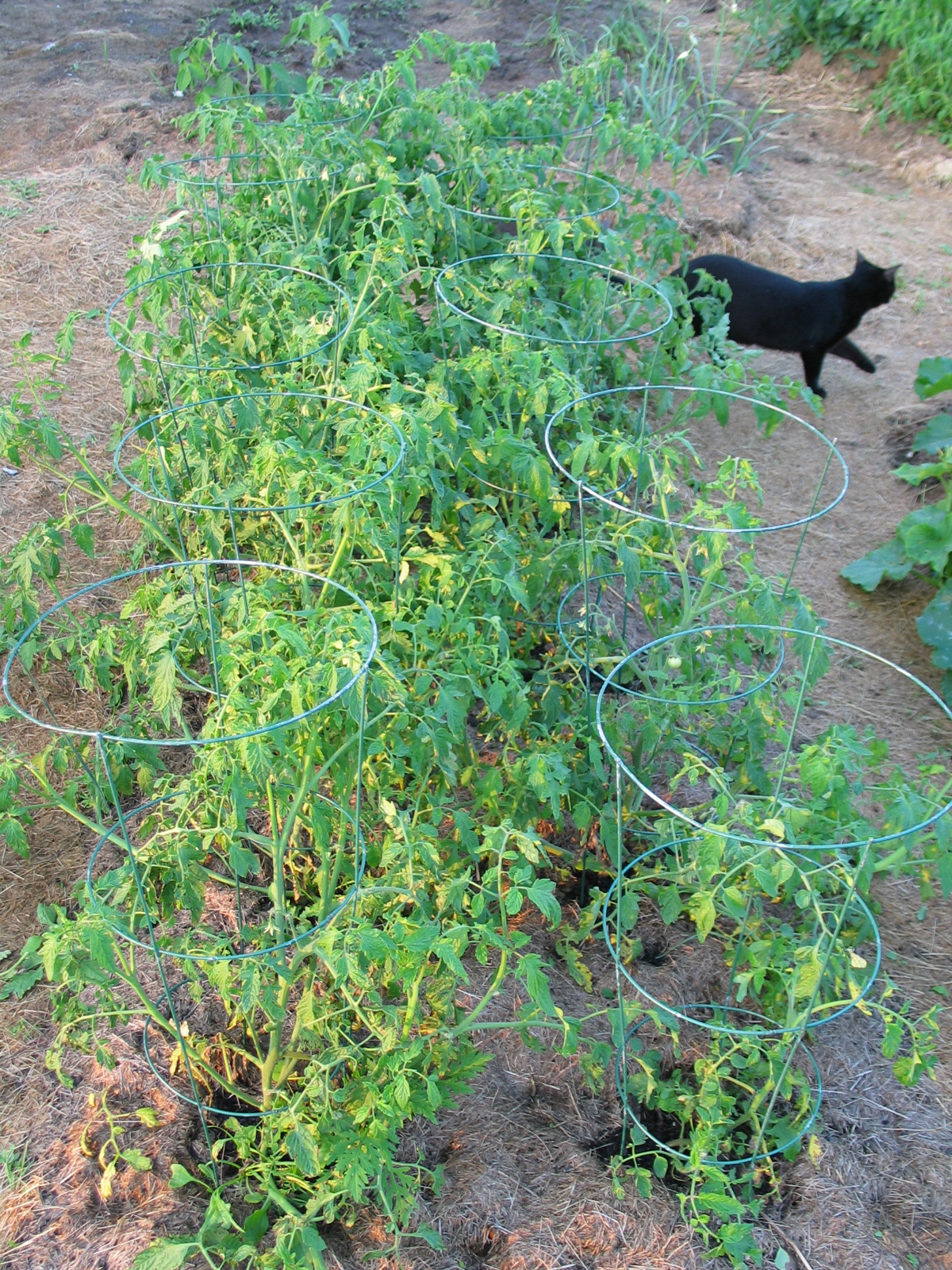 20040717-190339-Unknown-2004