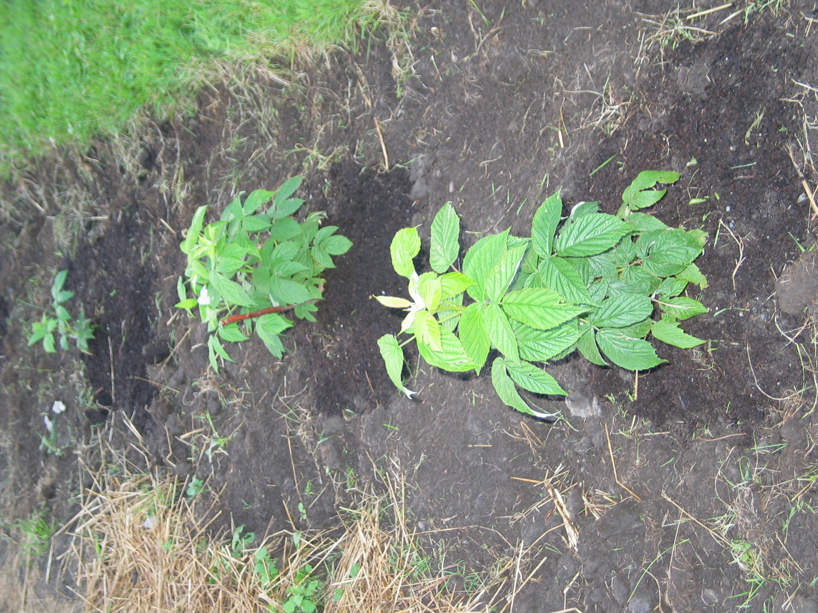 20040717-190517-Unknown-2004 (1)