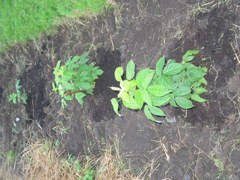 20040717-190517-Unknown-2004