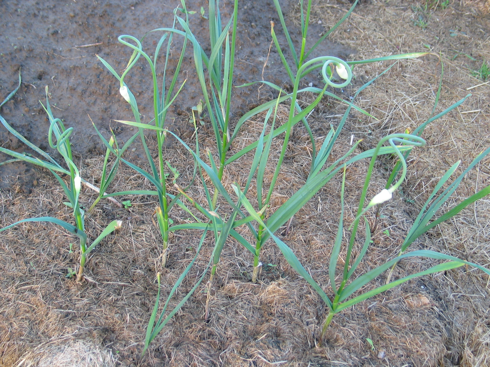 20040717-190545-Unknown-2004