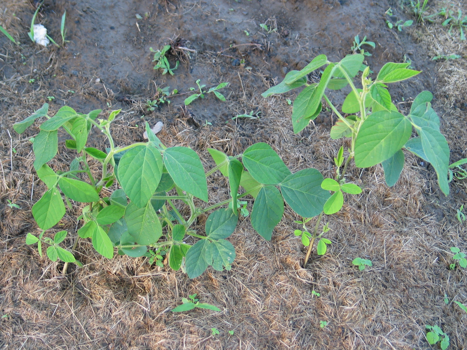 20040717-190554-Unknown-2004