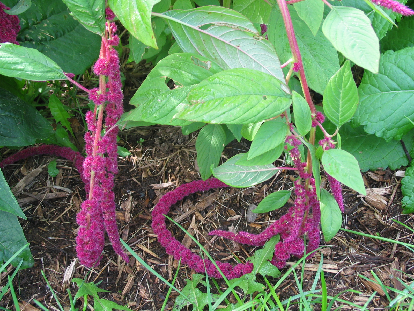 20040828-083355-Unknown-2004