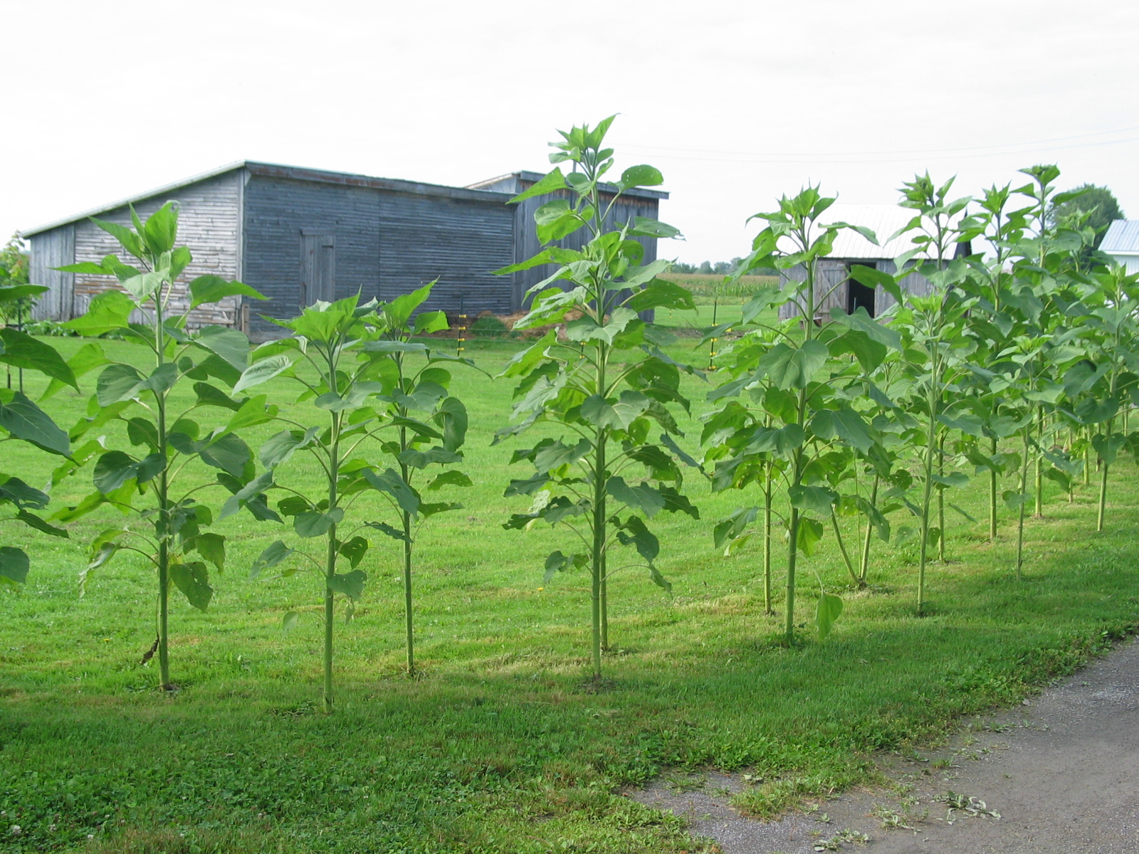 20040828-084633-Unknown-2004