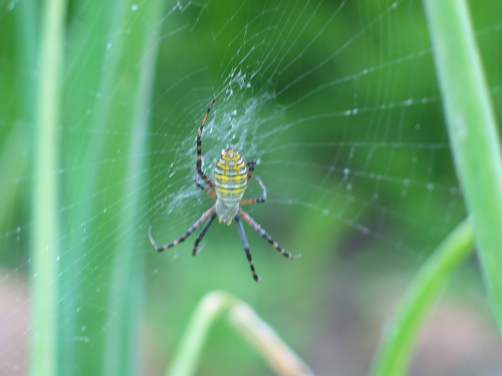 20040829-100523-Unknown-2004