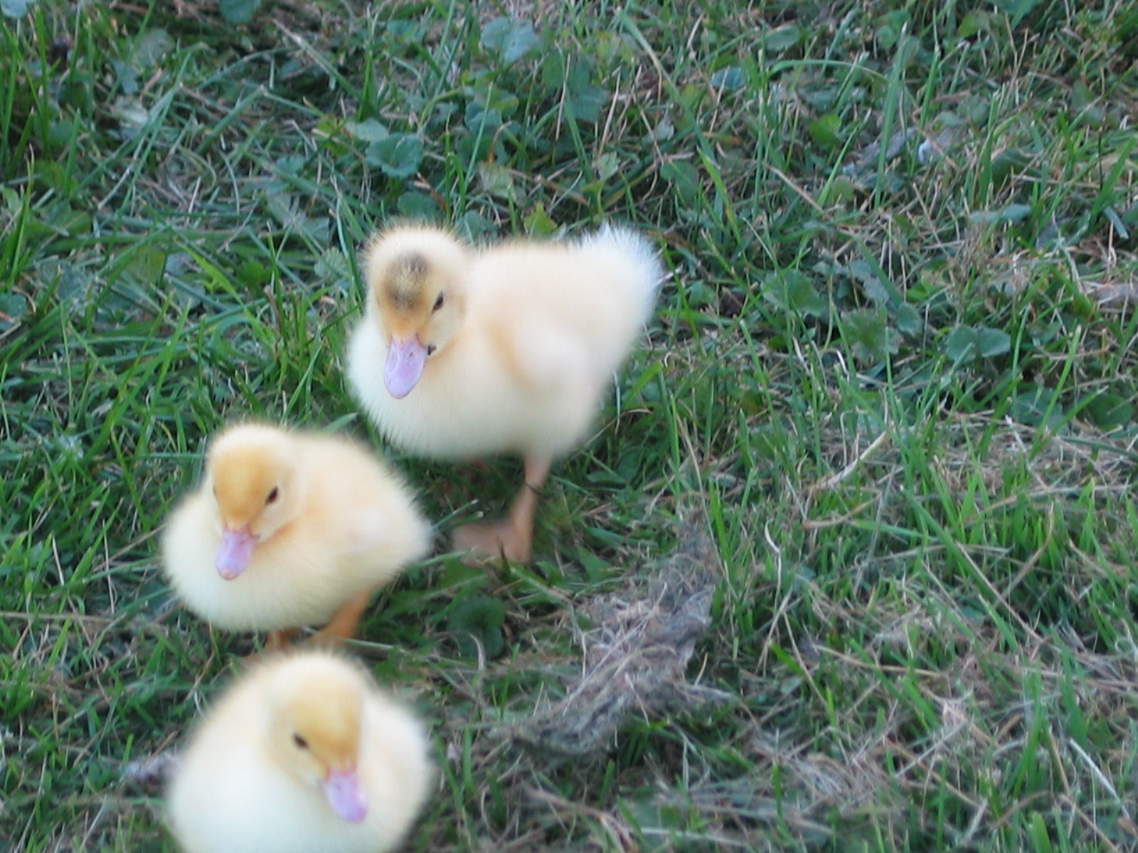 20040929-171304-Unknown-2004