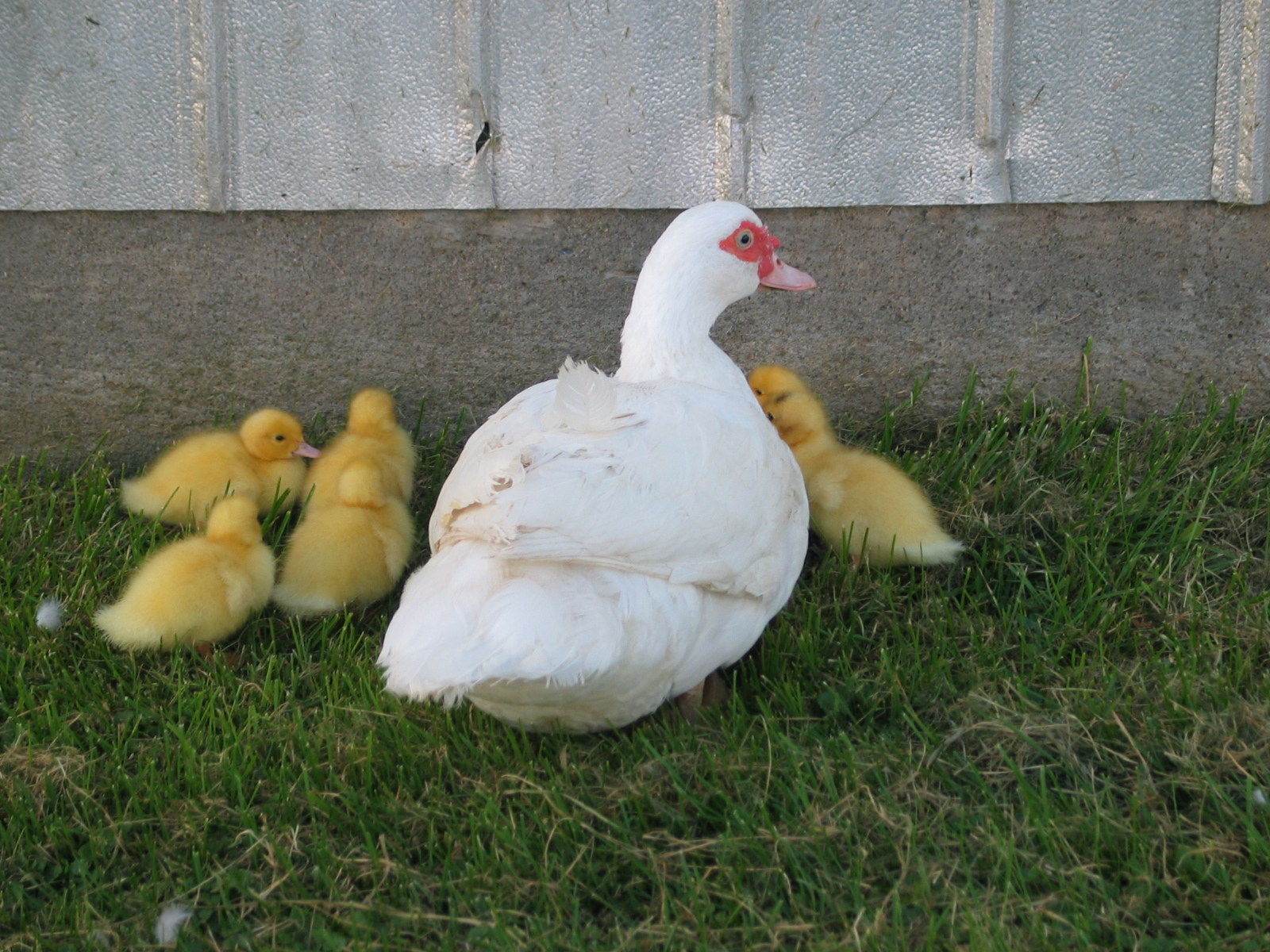 20040929-171525-Unknown-2004