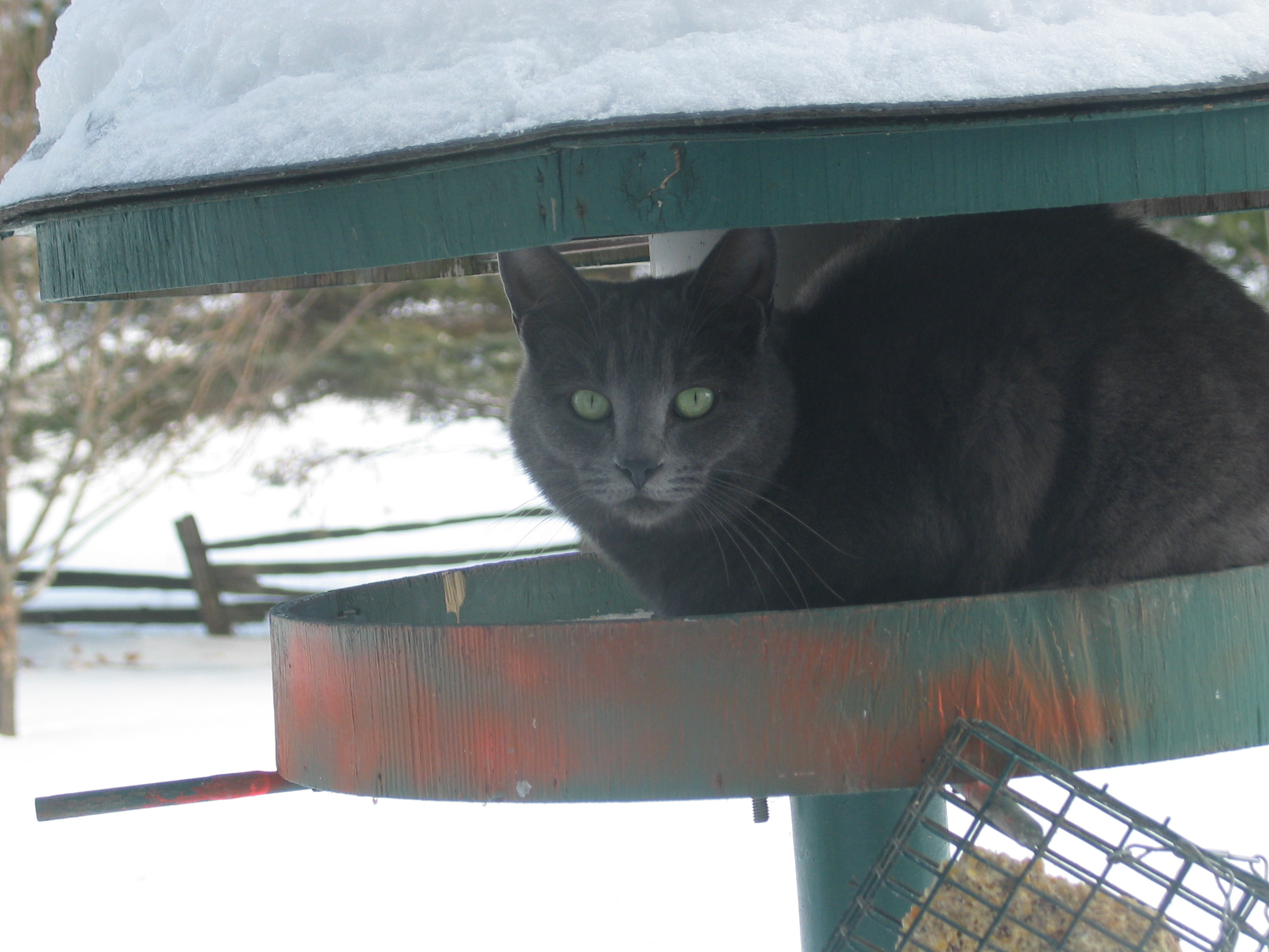 20041209-101828-Unknown-2004