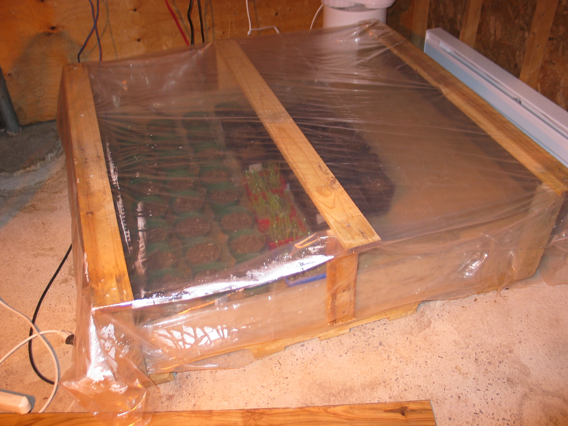 20050318-135951-Unknown-2005