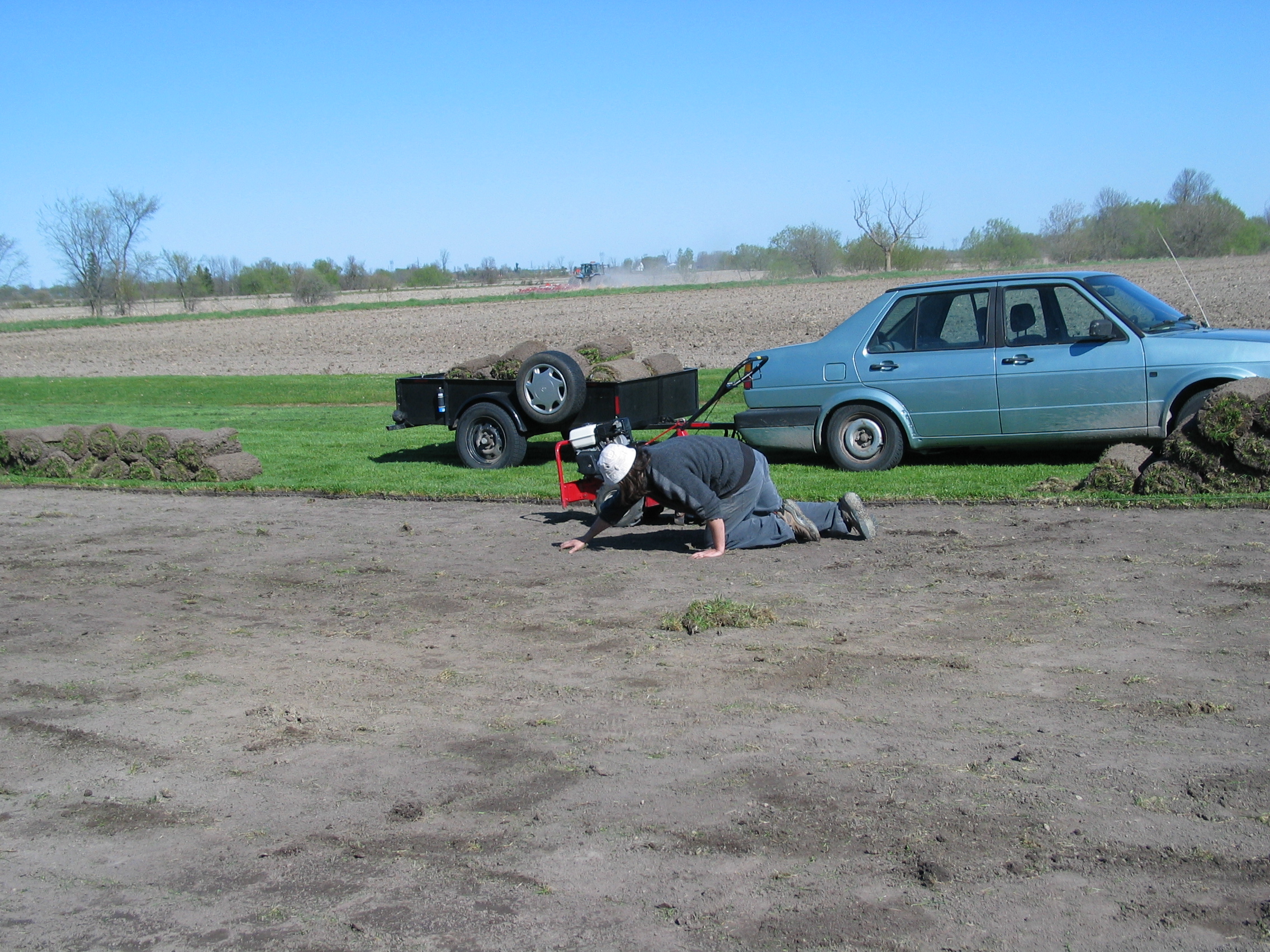 Remplissage de la remorque avec tourbe
