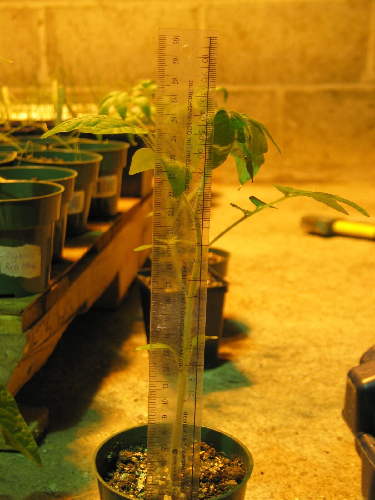 20050522-193902-Unknown-2005