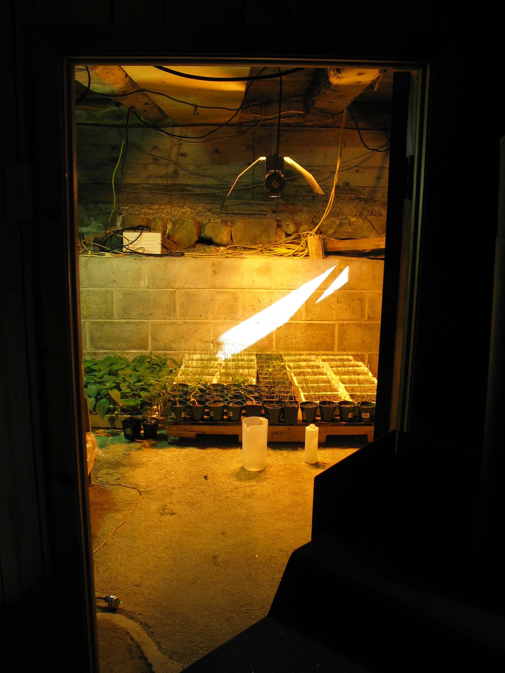 20050529-070508-Unknown-2005