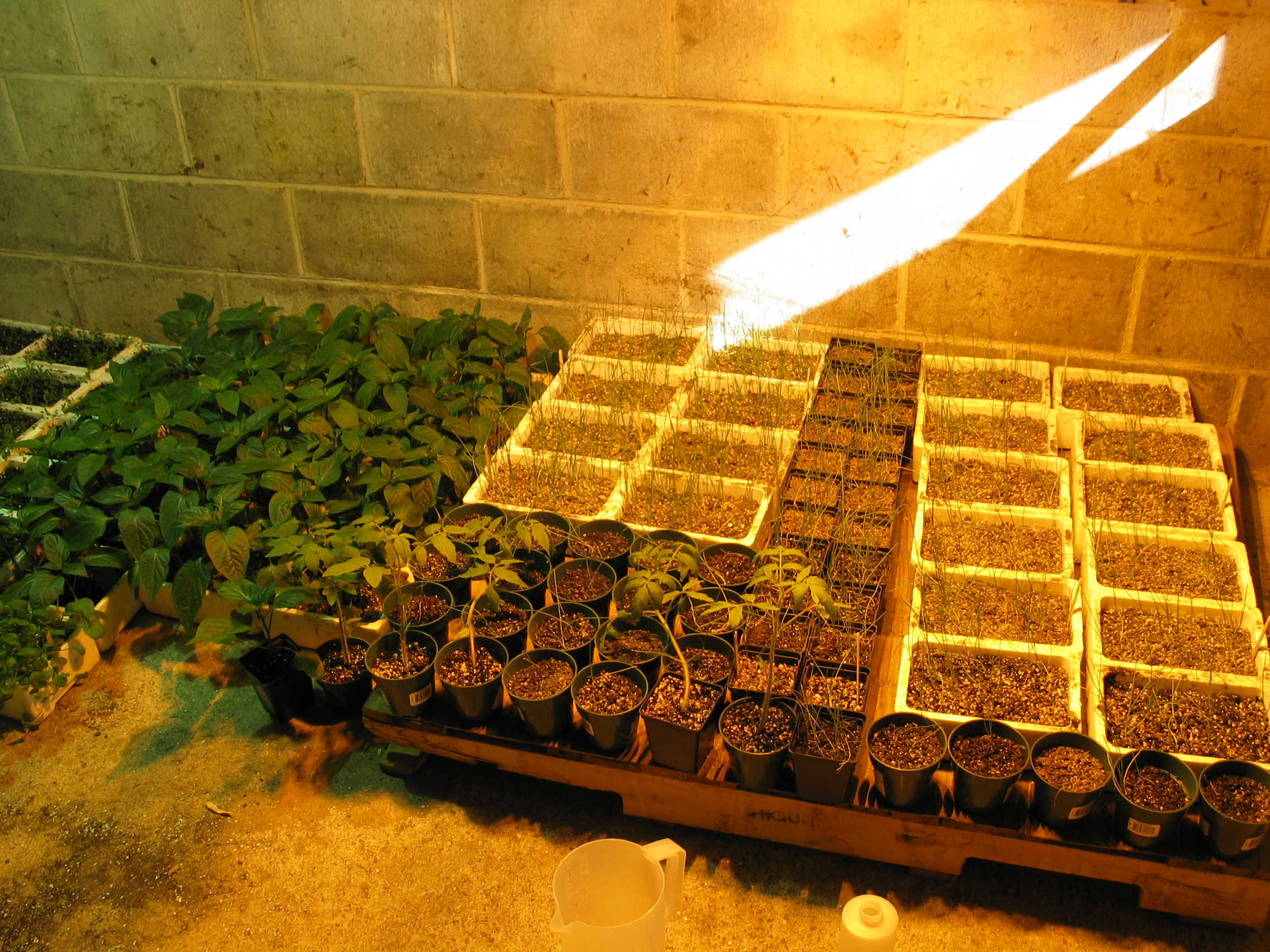 20050529-070524-Landscape-2005