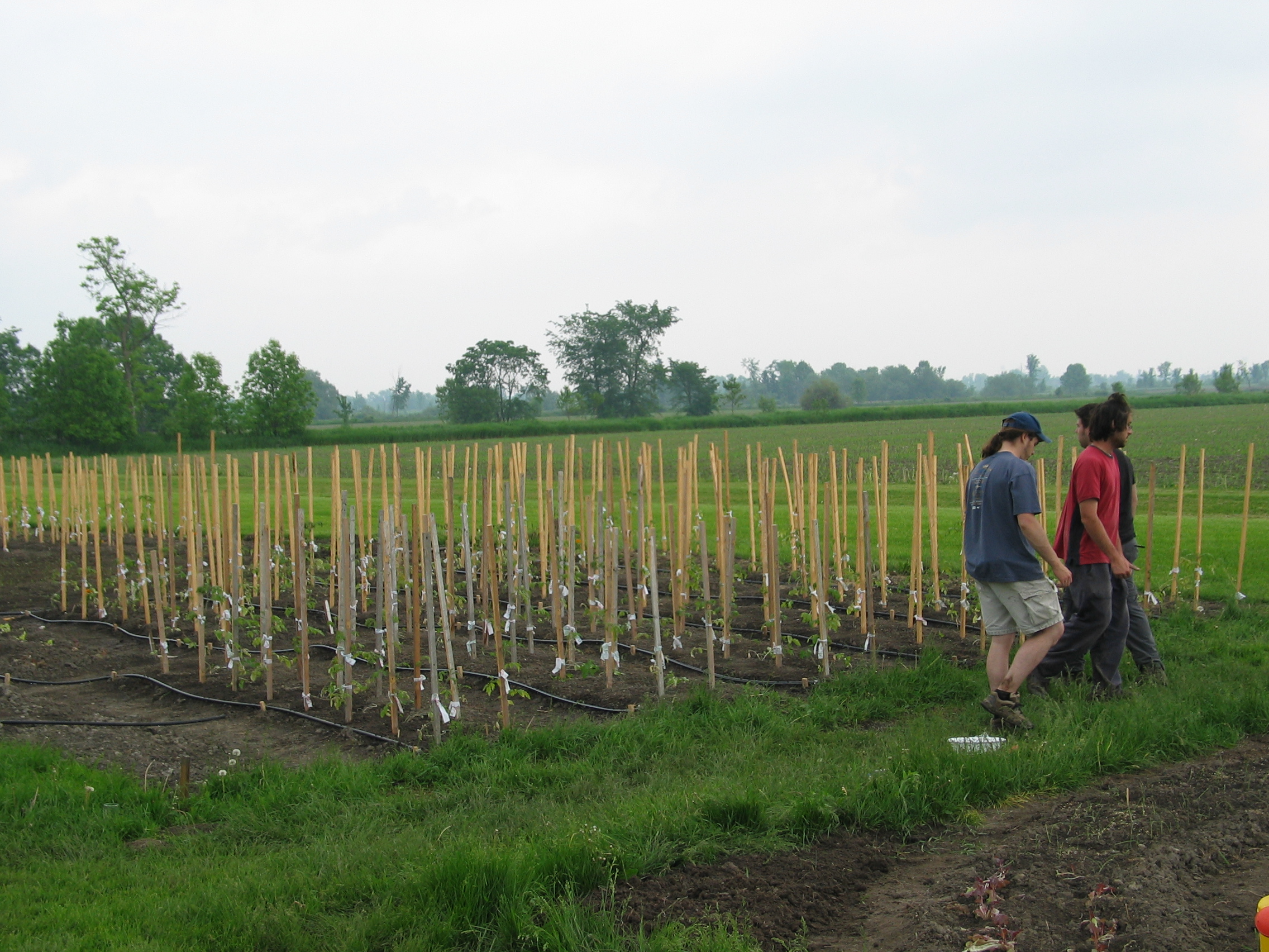 20050608-150554-Unknown-2005