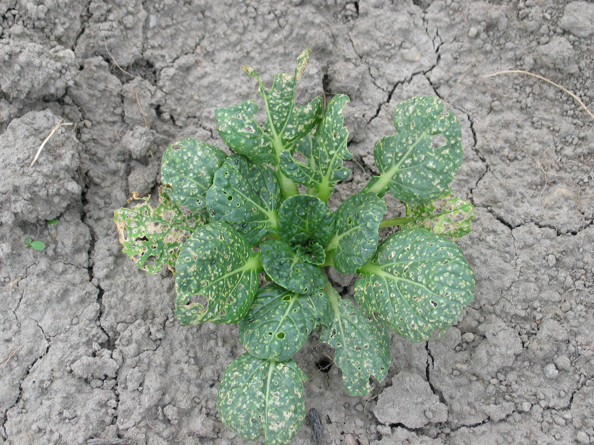 20050626-154732-Unknown-2005