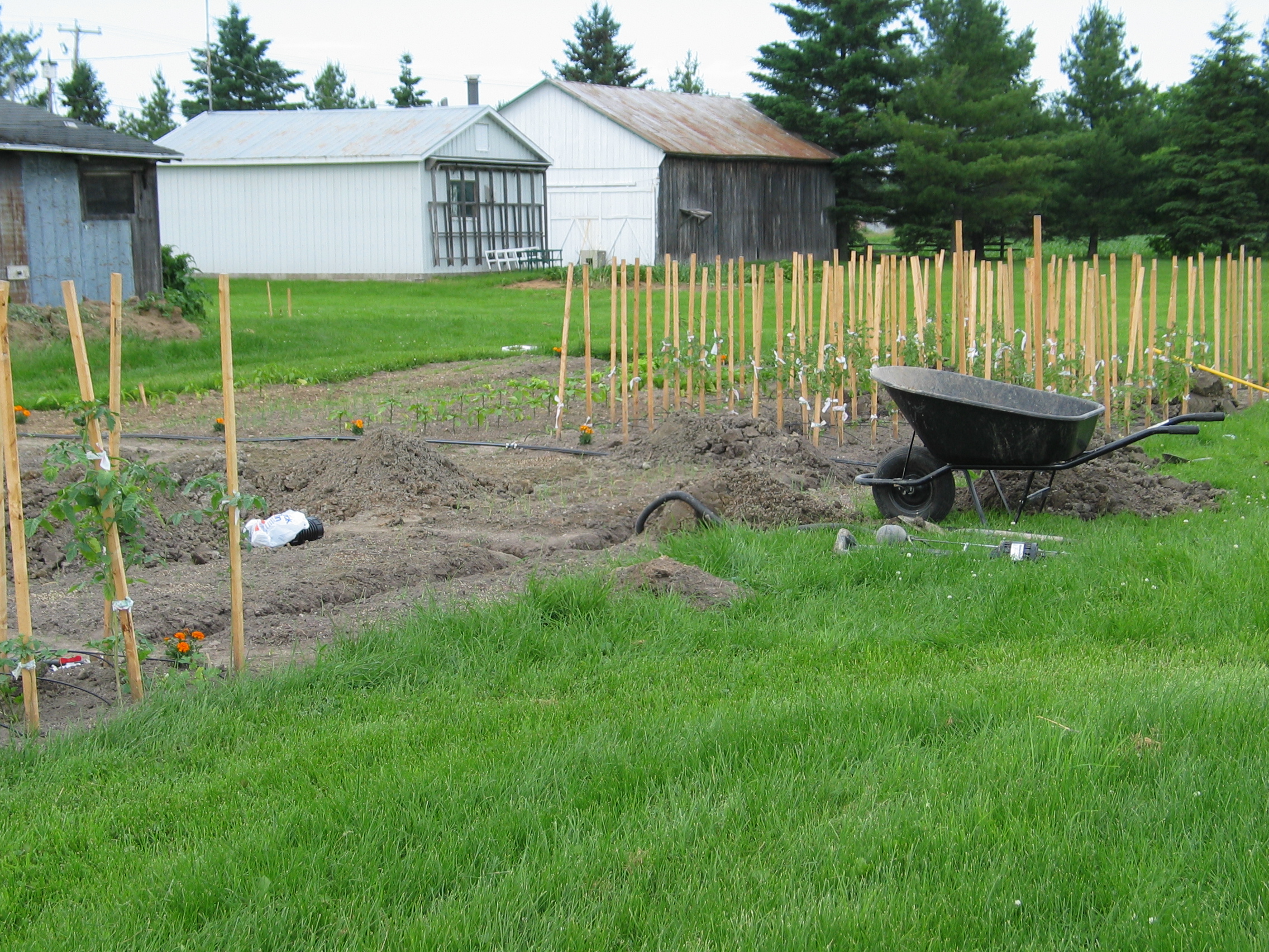 20050626-155521-Outdoor-2005