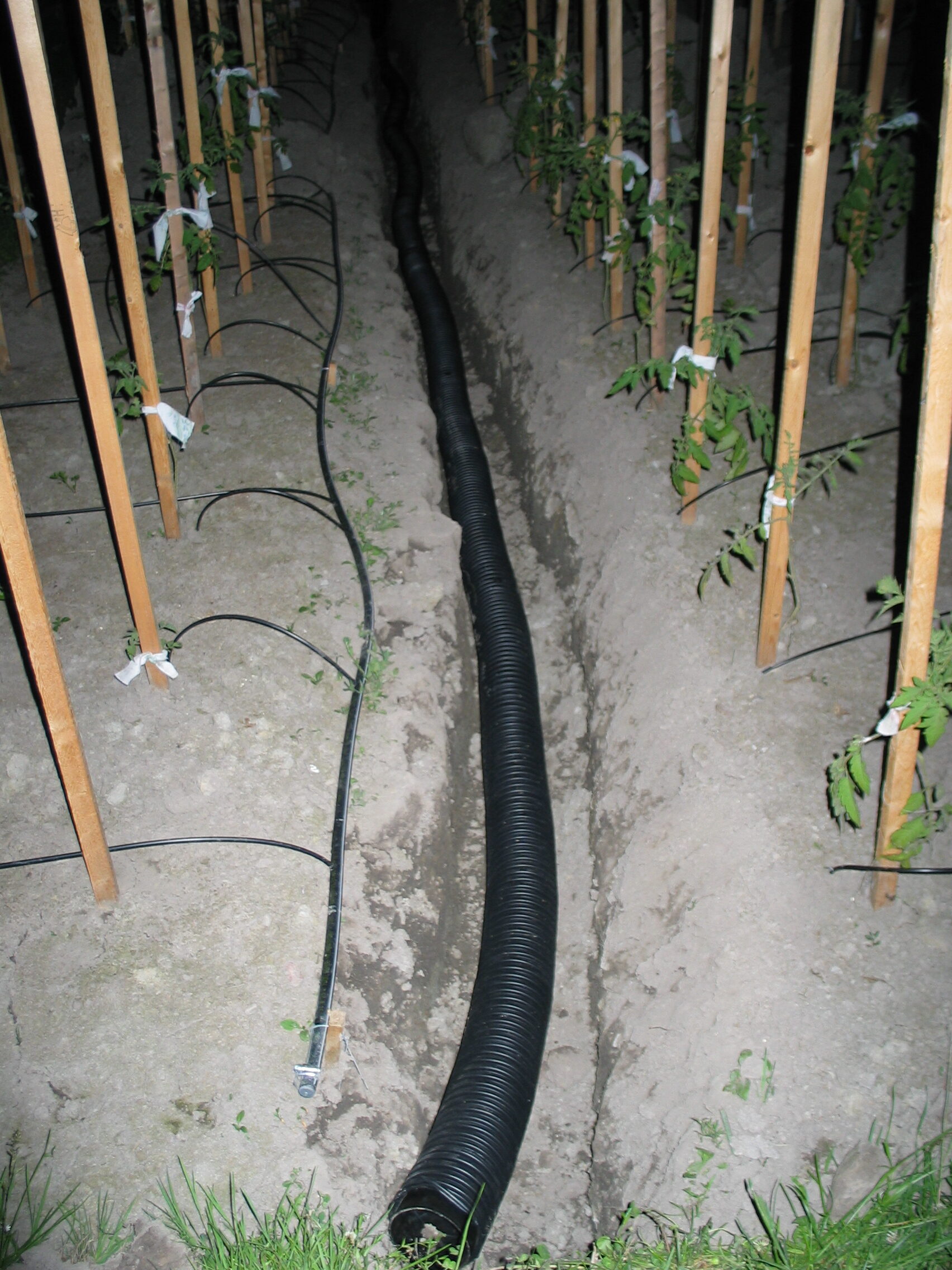 20050627-202048-Unknown-2005