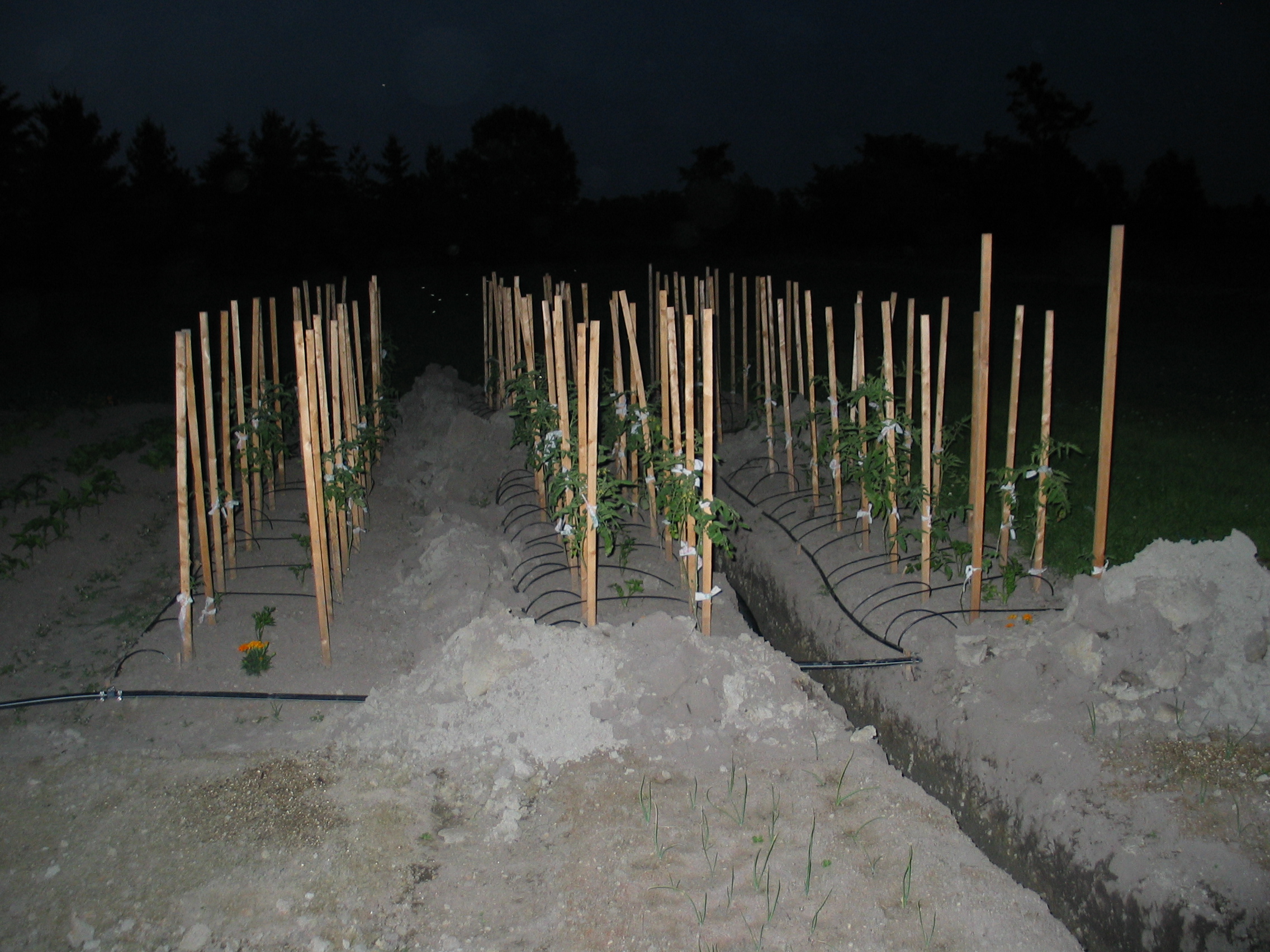 20050627-202153-Outdoor-2005