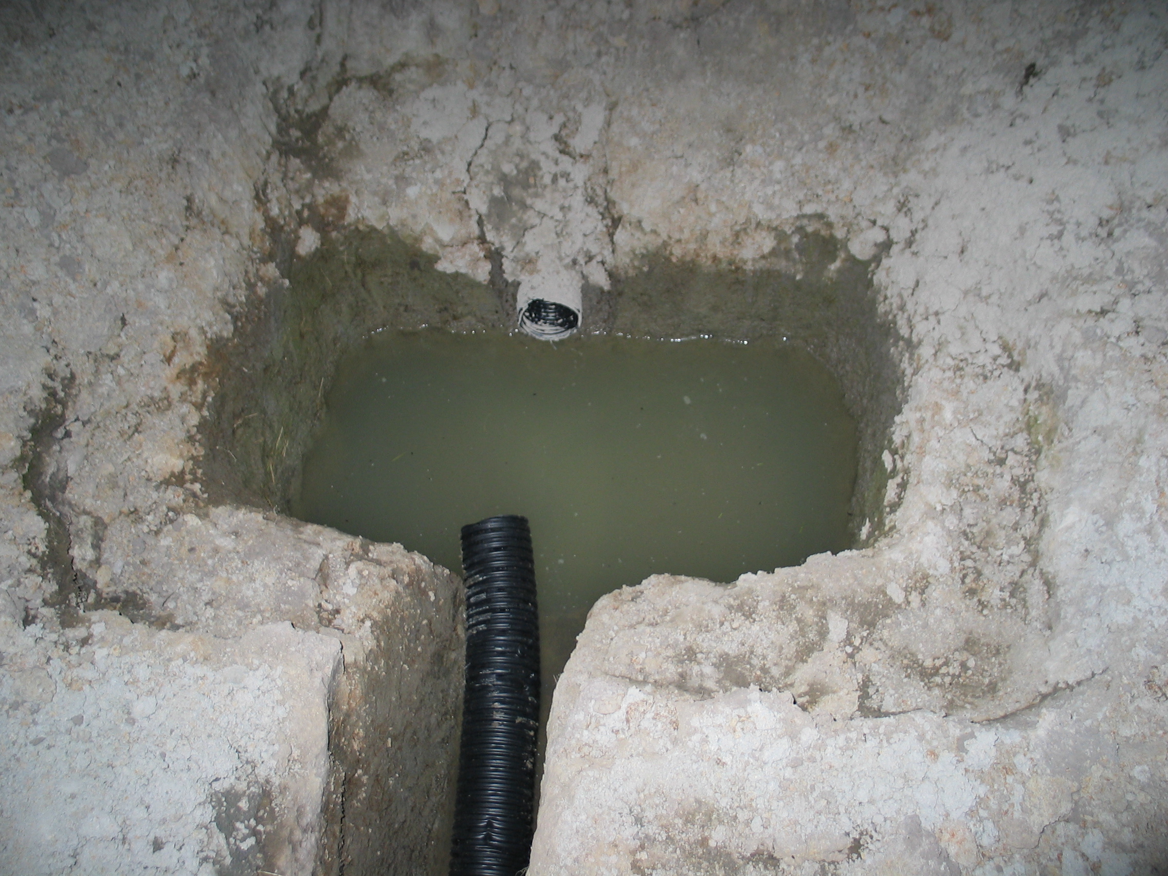 20050627-202217-Unknown-2005