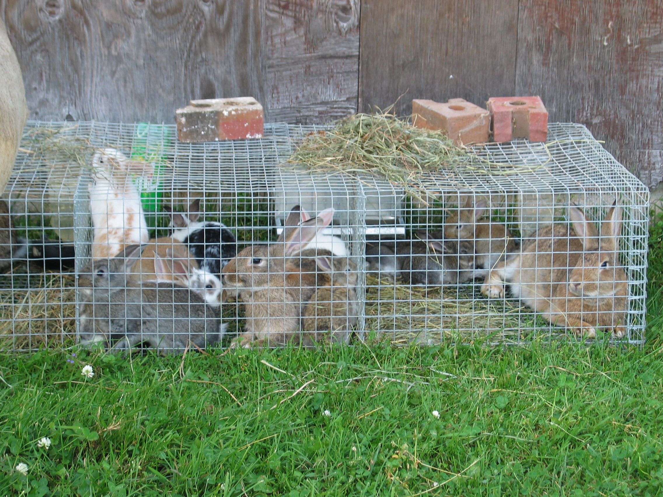 20050628-170622-Unknown-2005