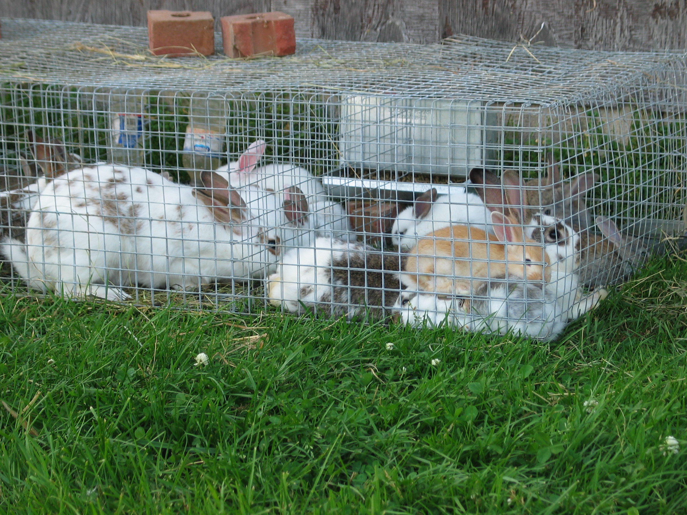 20050628-170647-Unknown-2005