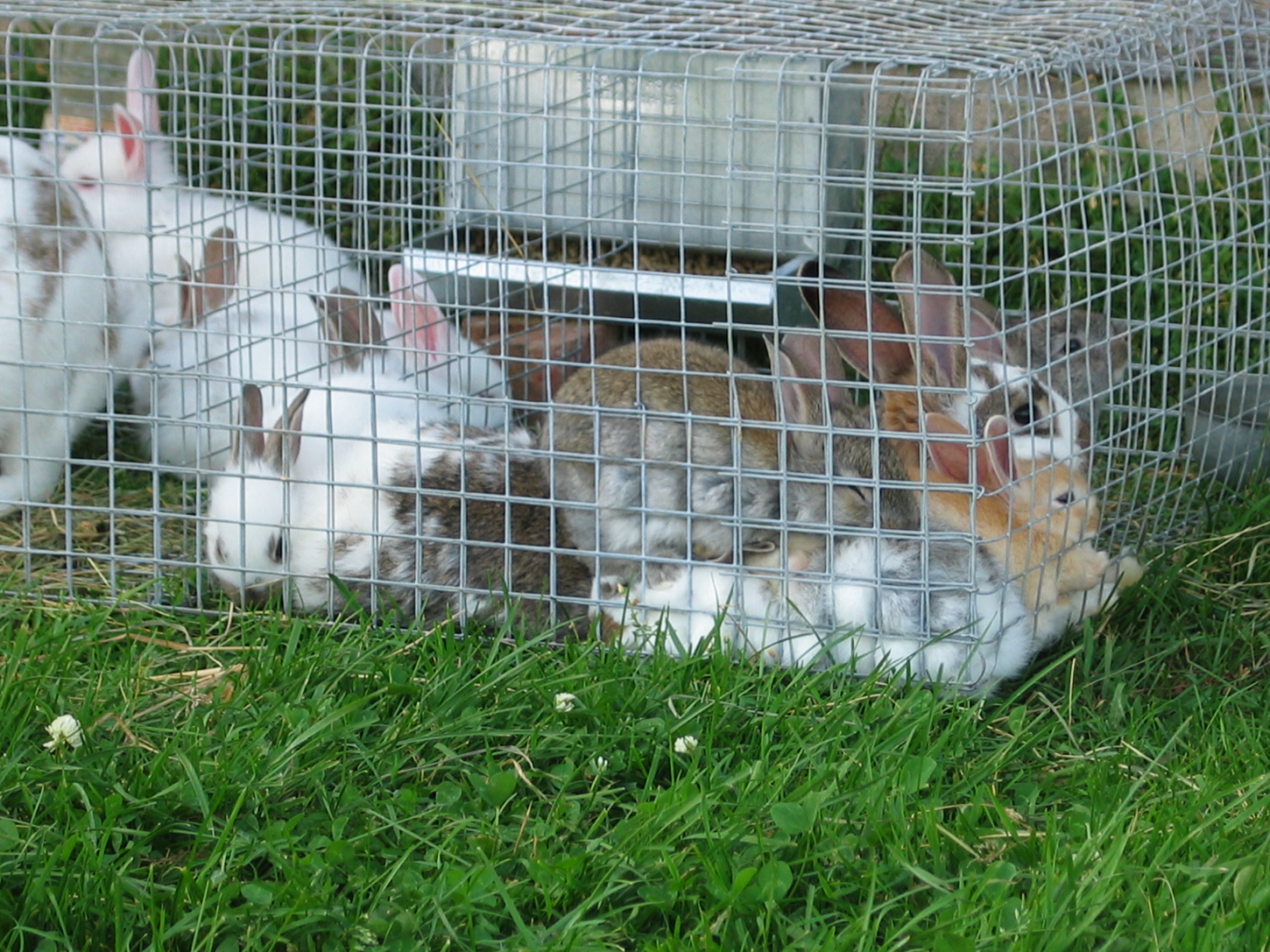 20050628-170722-Unknown-2005