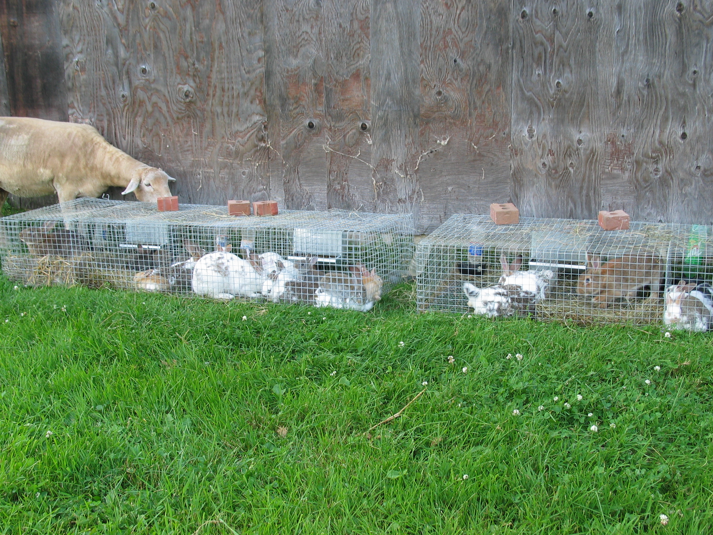 20050628-170733-Unknown-2005