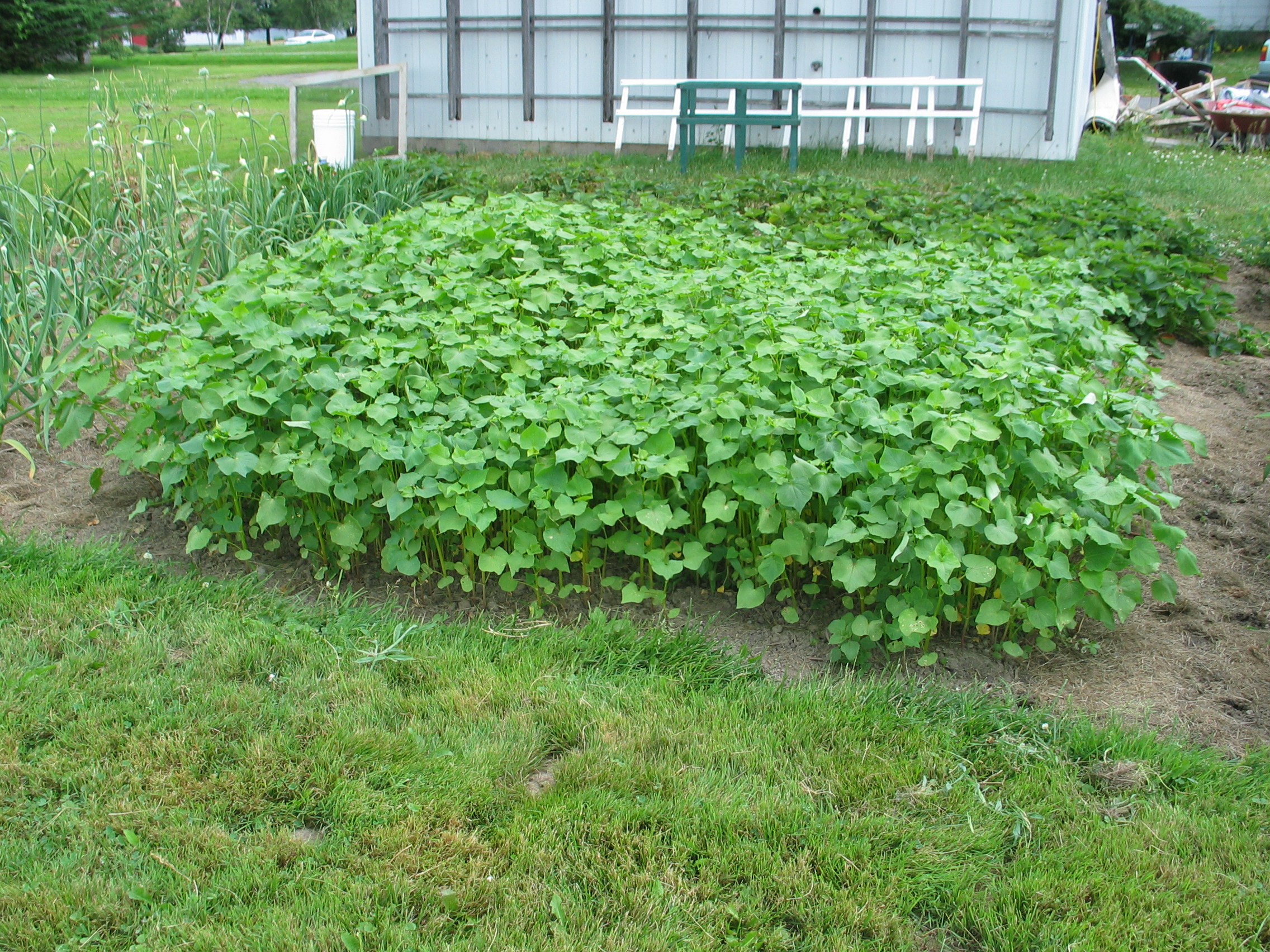 20050714-111422-Unknown-2005