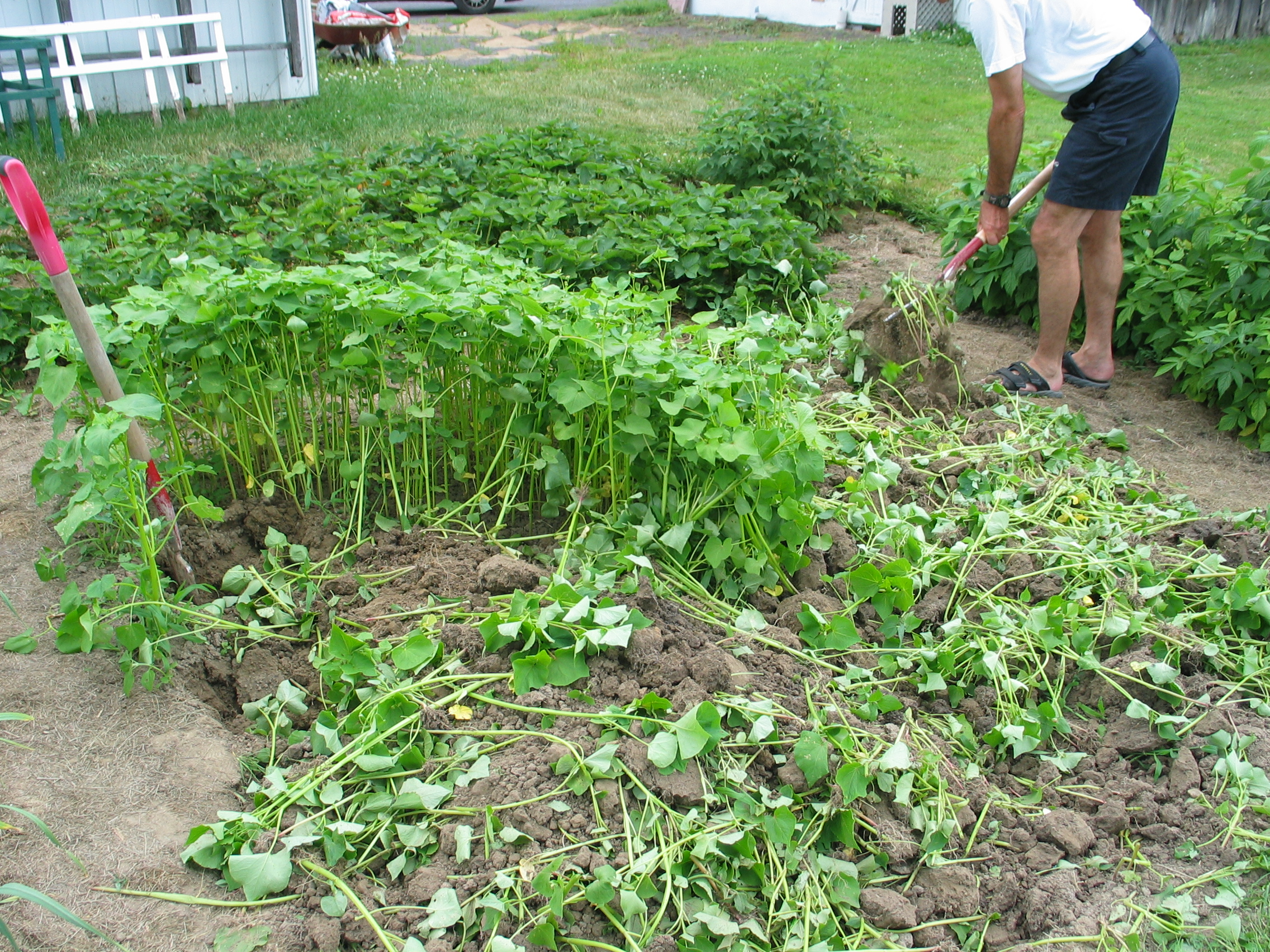 20050714-112422-Landscape-2005