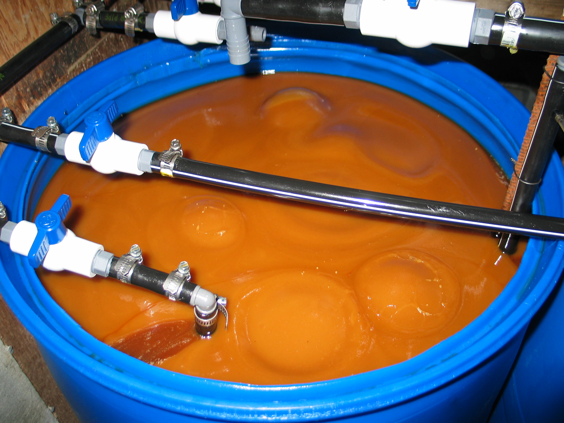 20050725-163900-Unknown-2005