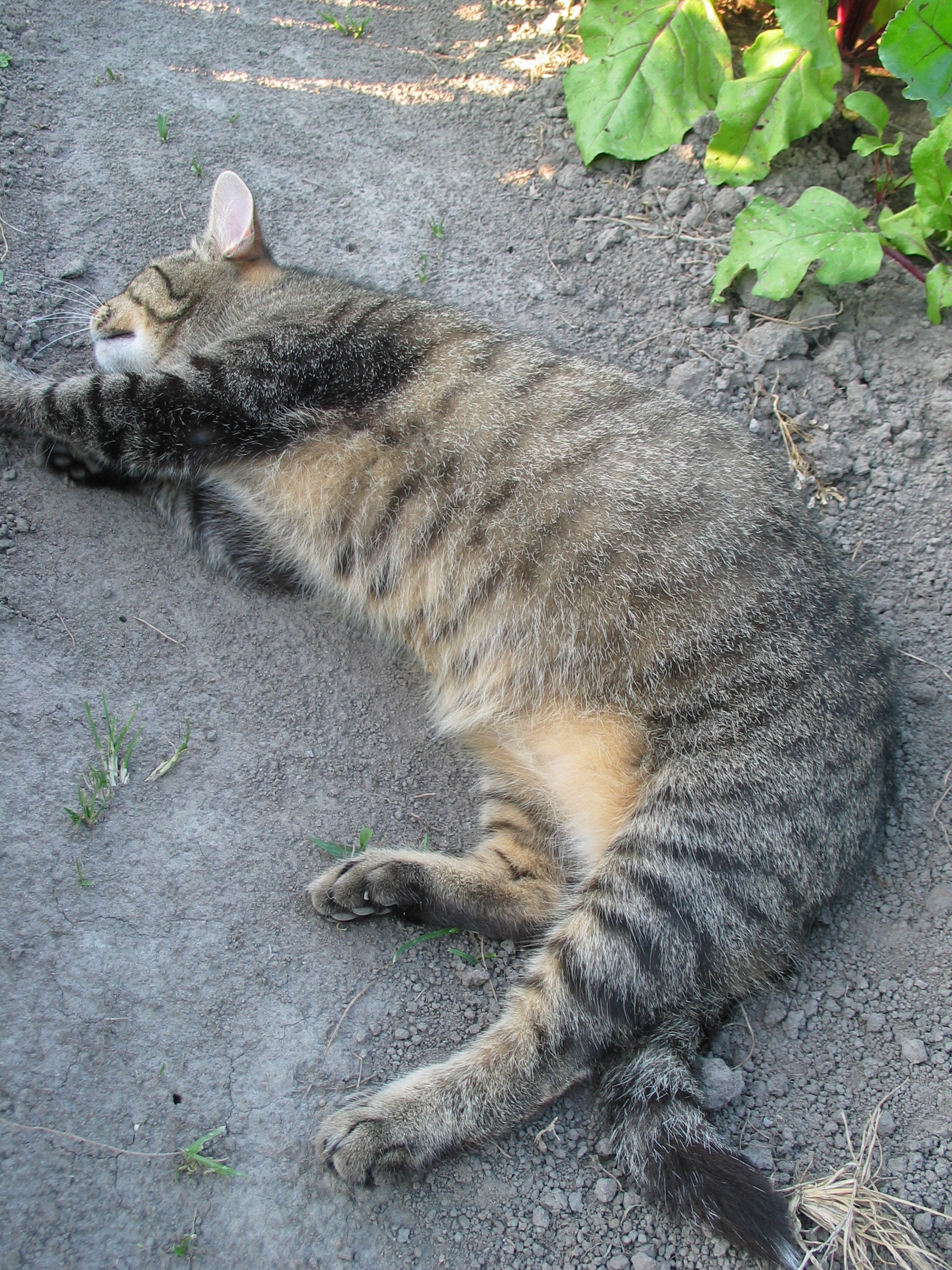 20050725-180444-Unknown-2005