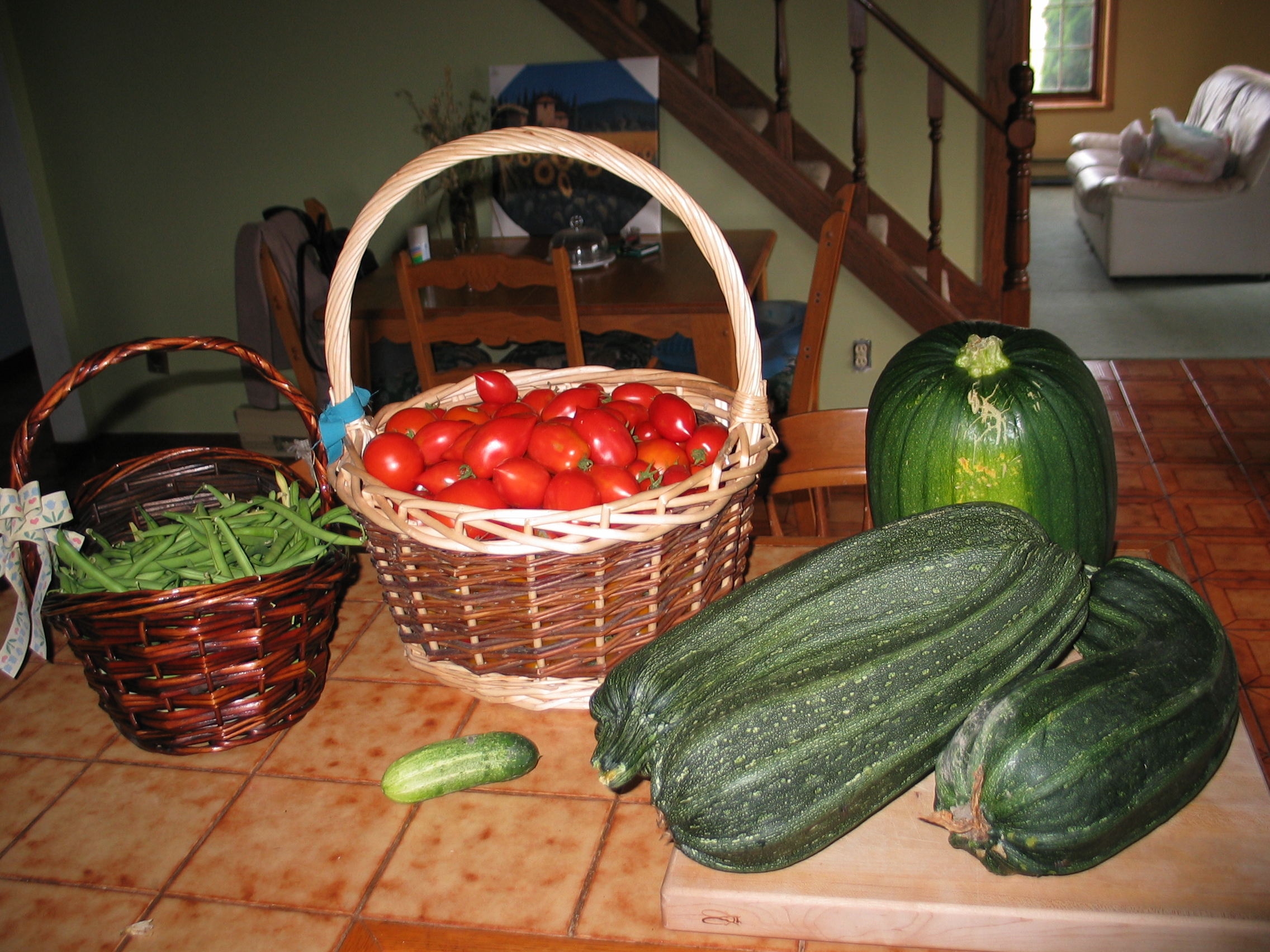 20050810-091057-Basket-2005