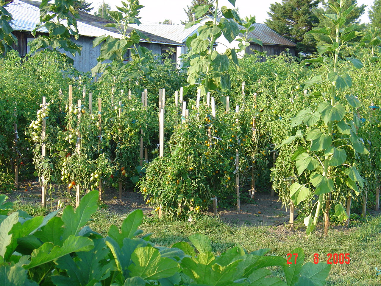 20050827-170859-Party-Philippe-Aout-2005