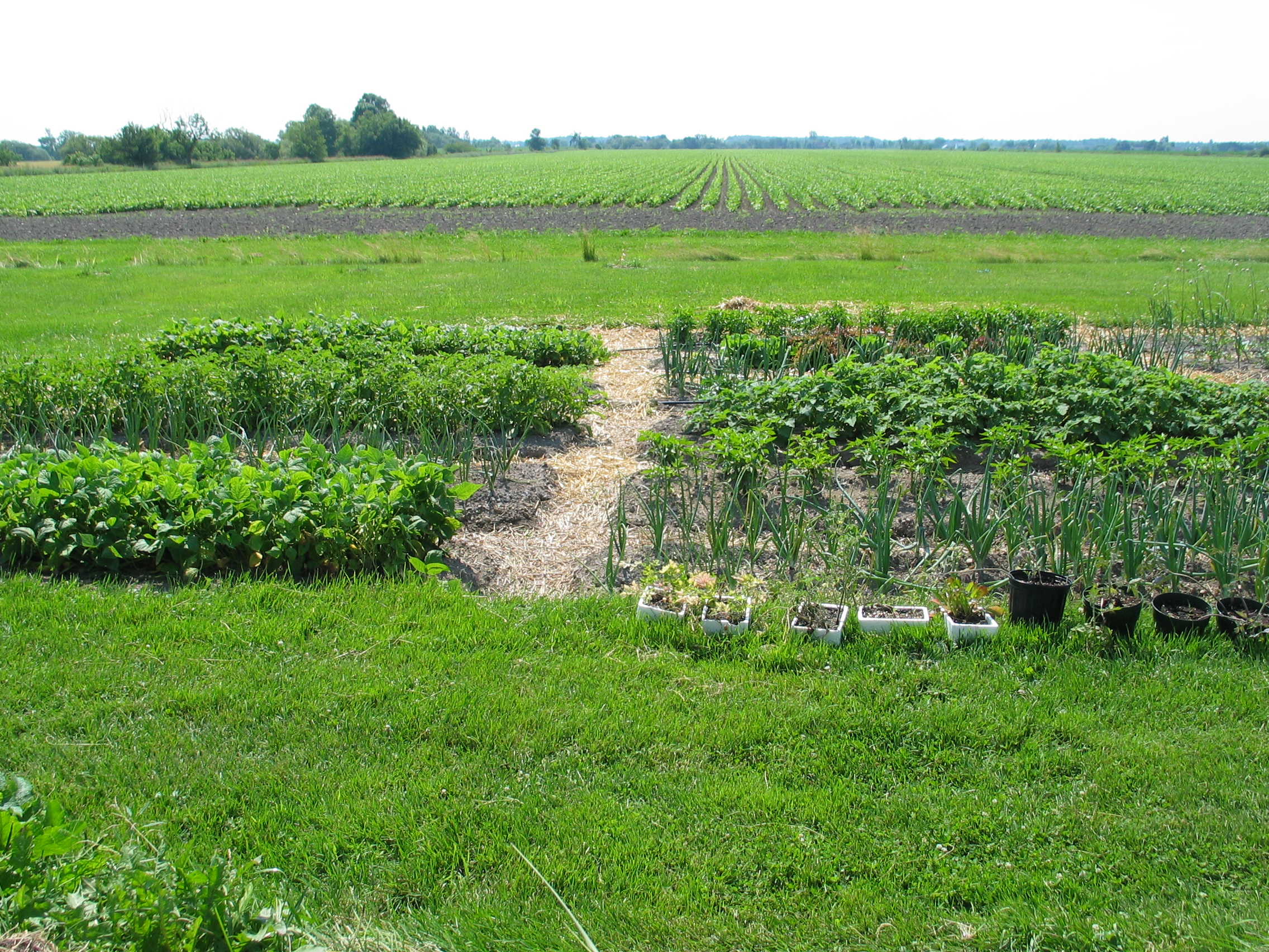 20060720-095302-Unknown-2006