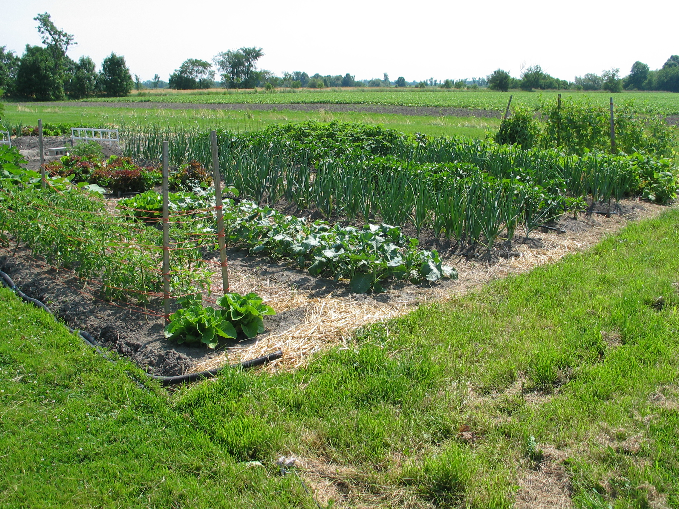 20060720-095744-Landscape-2006