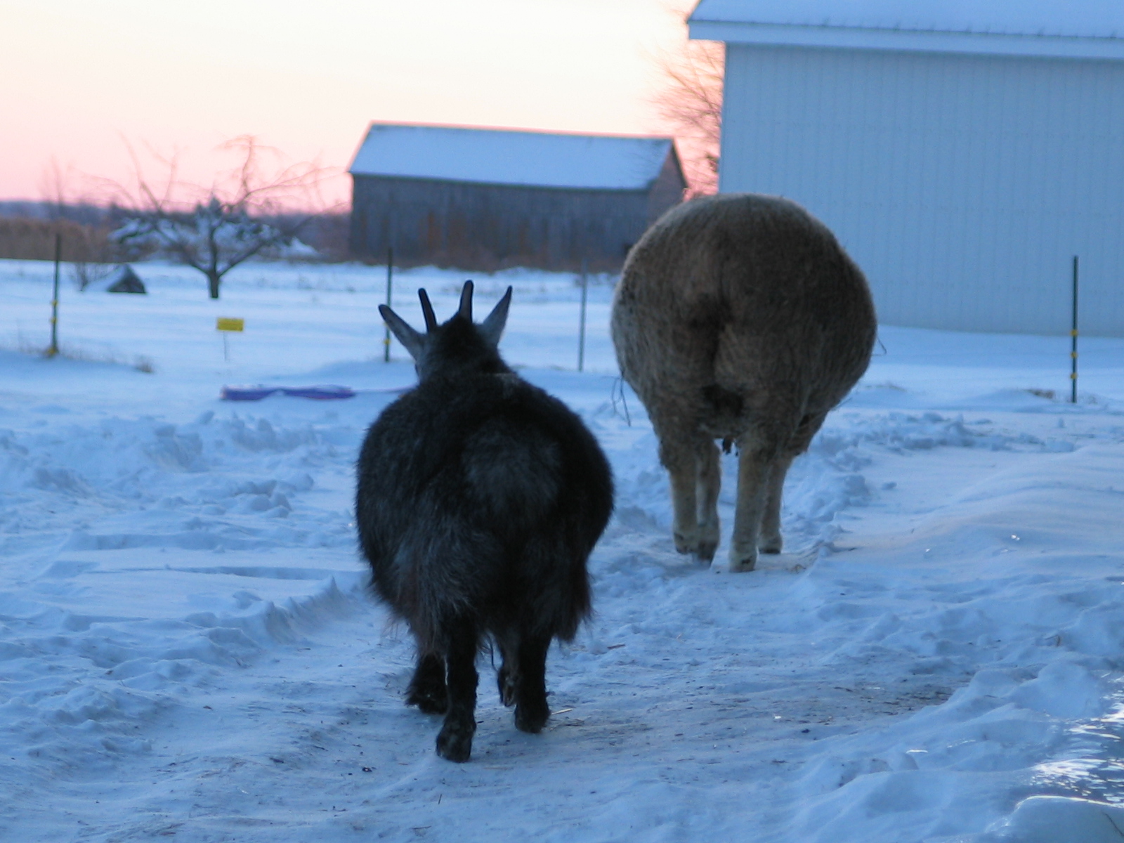 20070128-165356-Unknown-2007