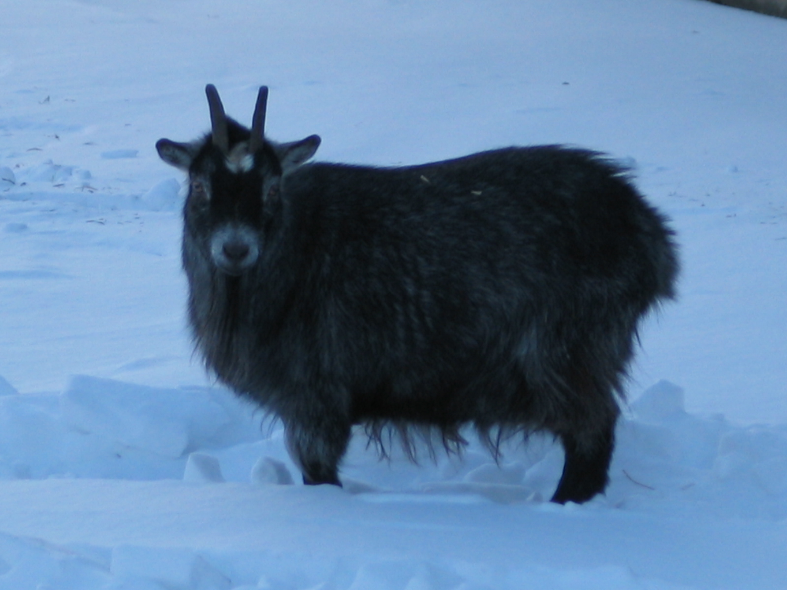 20070128-165441-Unknown-2007