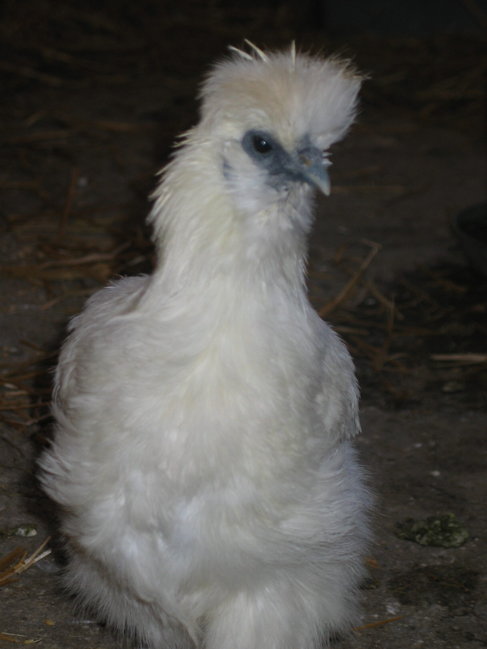 20070225-135611-Unknown-2007