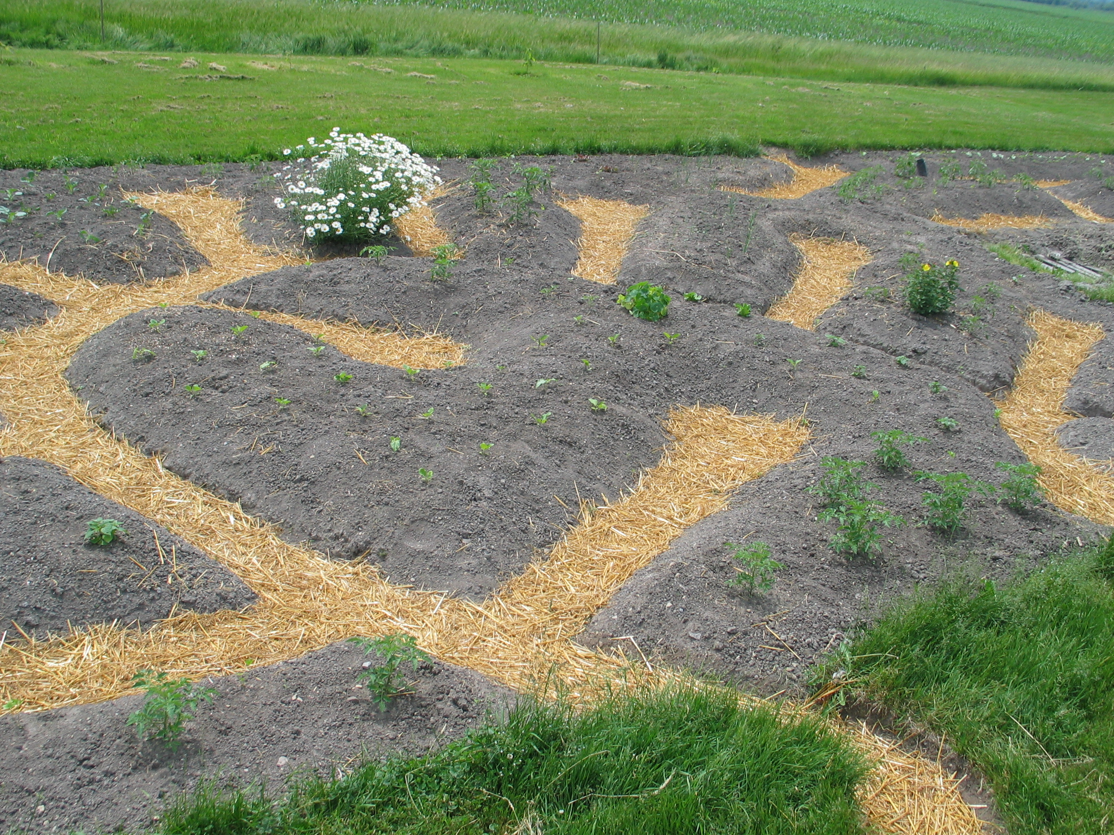 20070618-104504-Unknown-2007