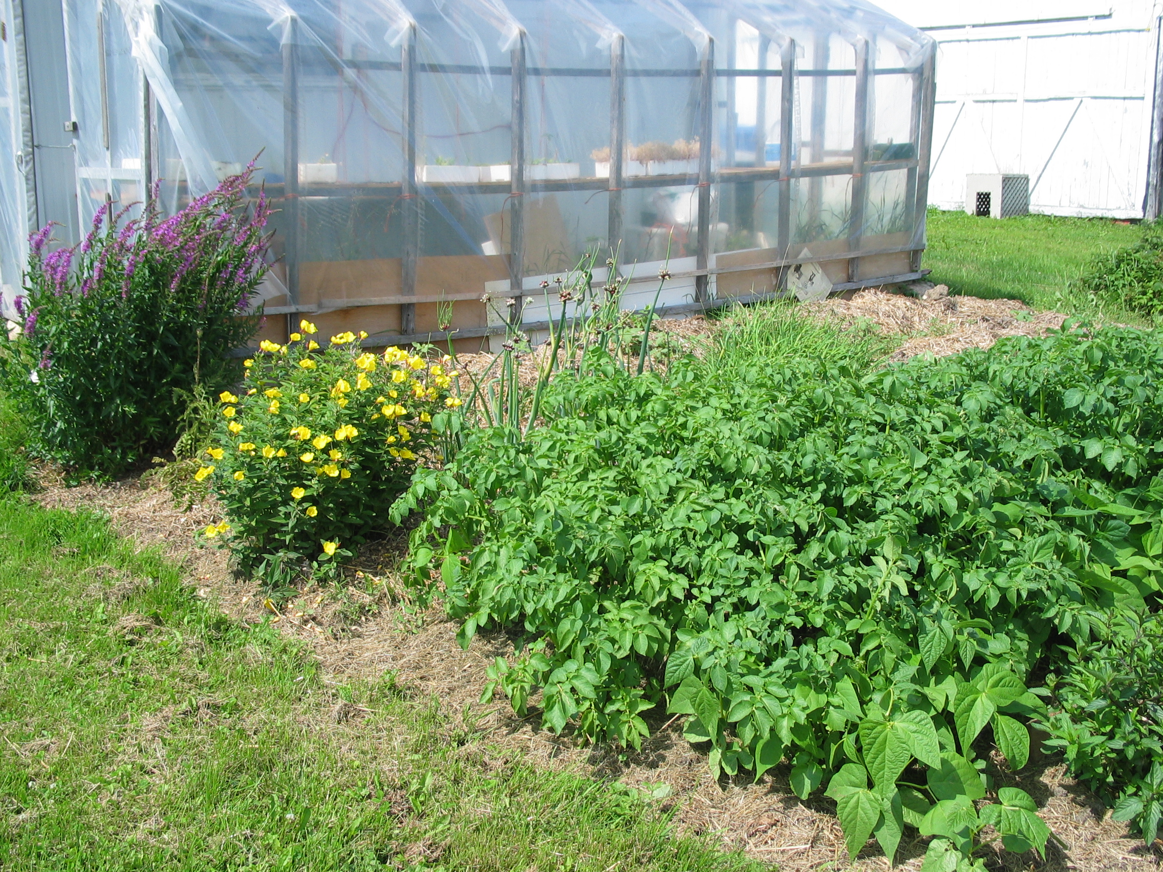 20070712-135616-Unknown-2007