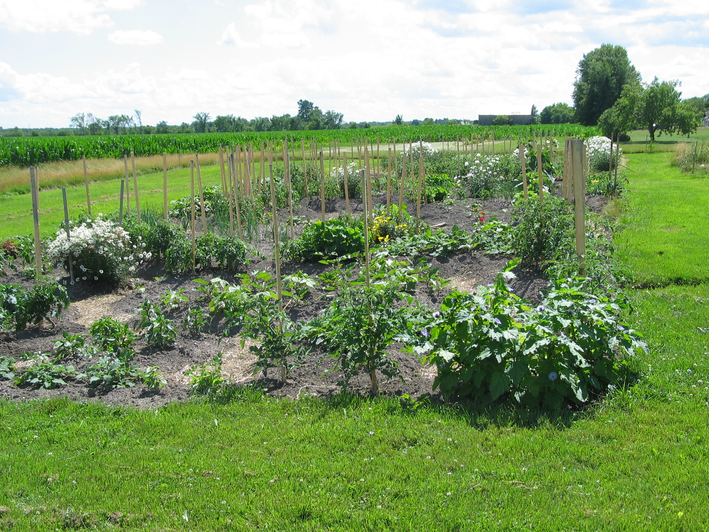 20070712-140406-Unknown-2007