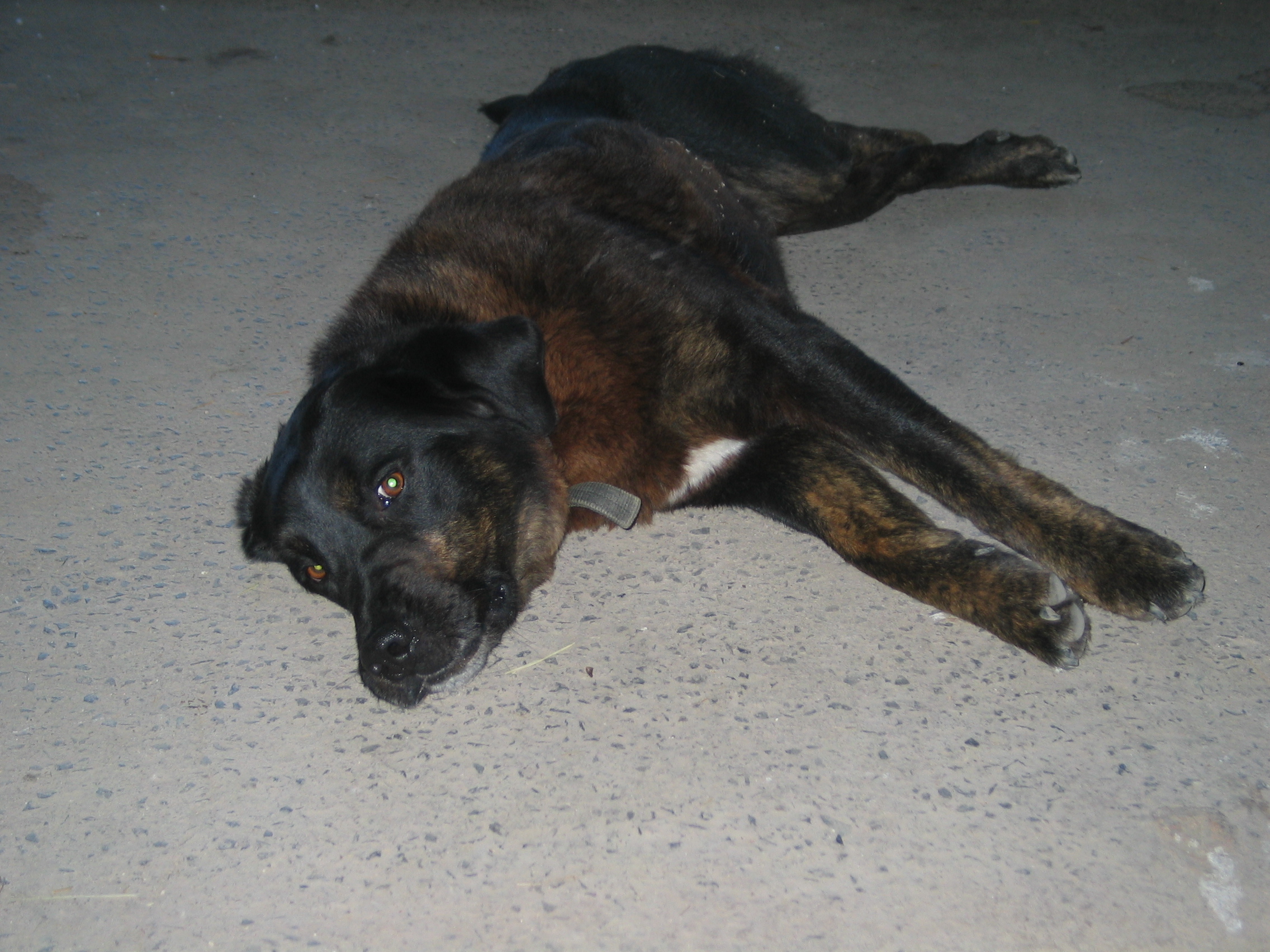 20070722-105902-Unknown-2007