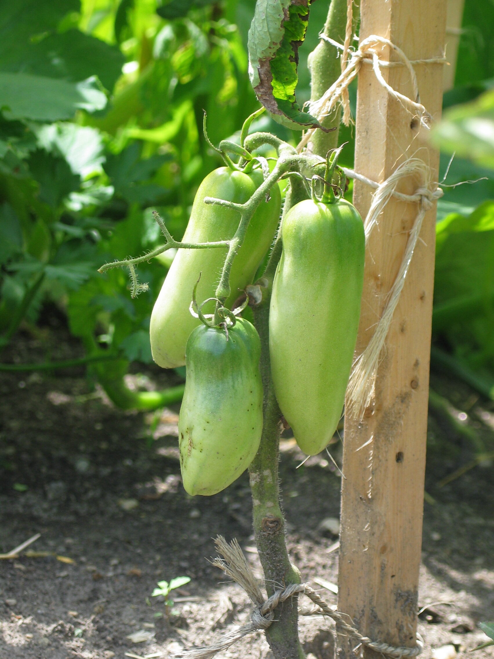 20070809-122709-Unknown-2007