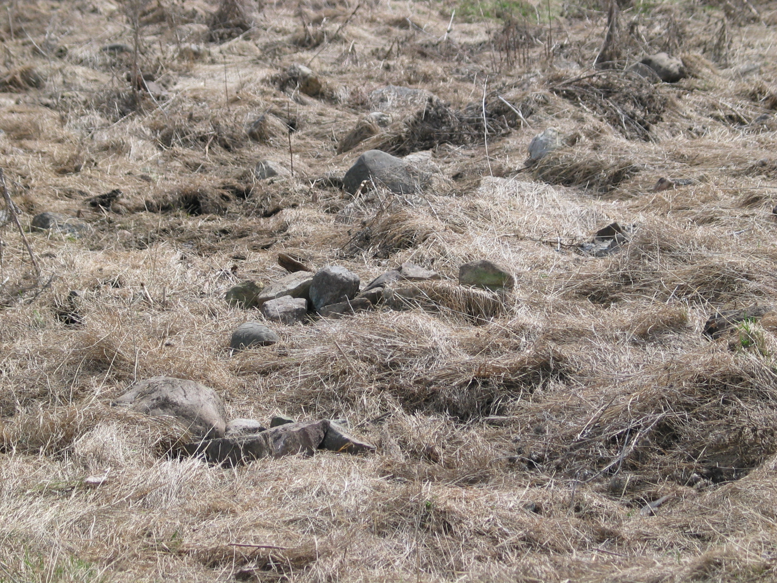 20080425-111727-Unknown-2008