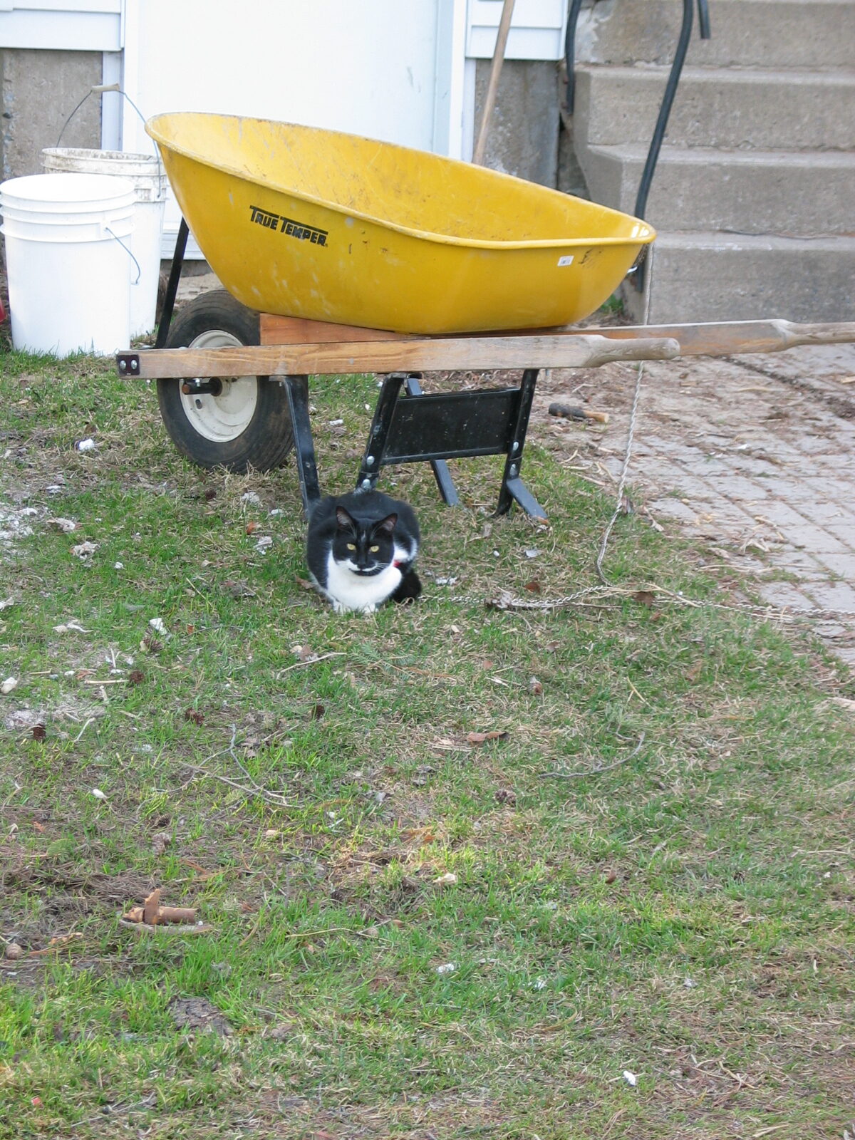 20080425-175335-Unknown-2008