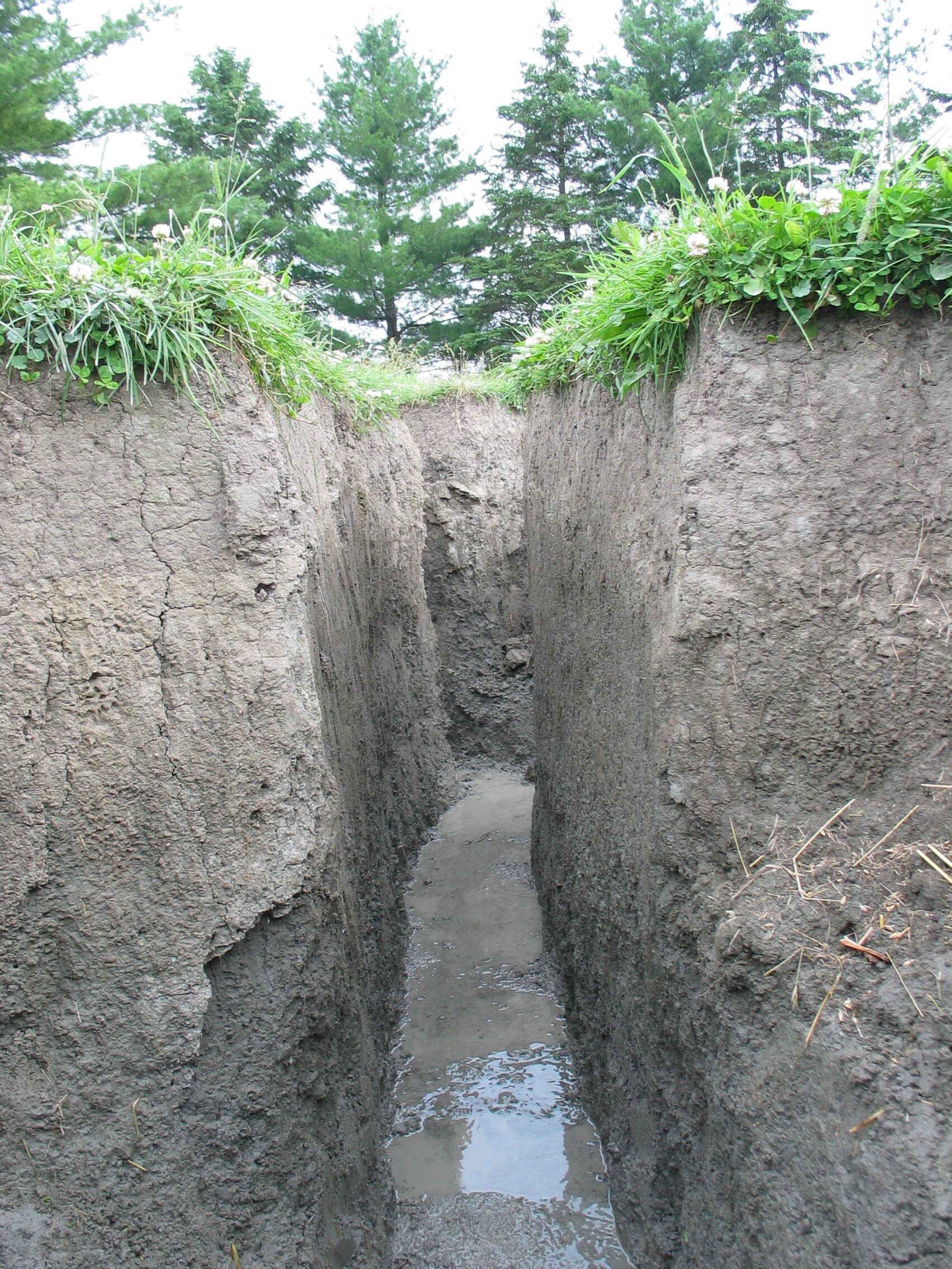 20080626-082305-Portrait-2008